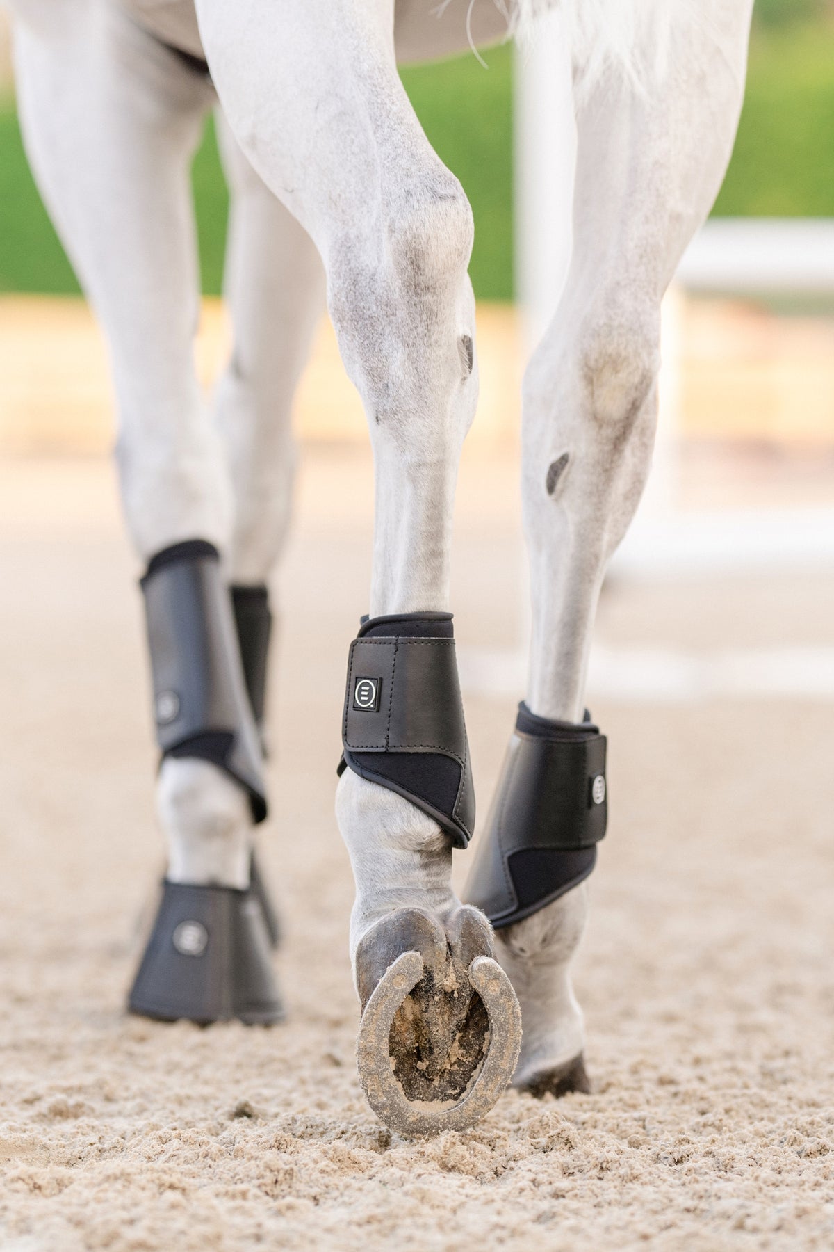 EquiFit Essential® EveryDay™ Hind Boot (Pair) Leg & Hoof Protection
