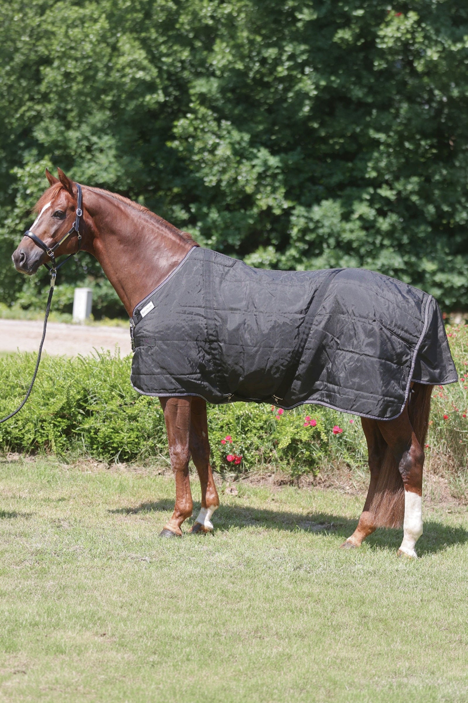 Kavalkade Stallion Rug With Chest Bib, 50 g Horse Rugs