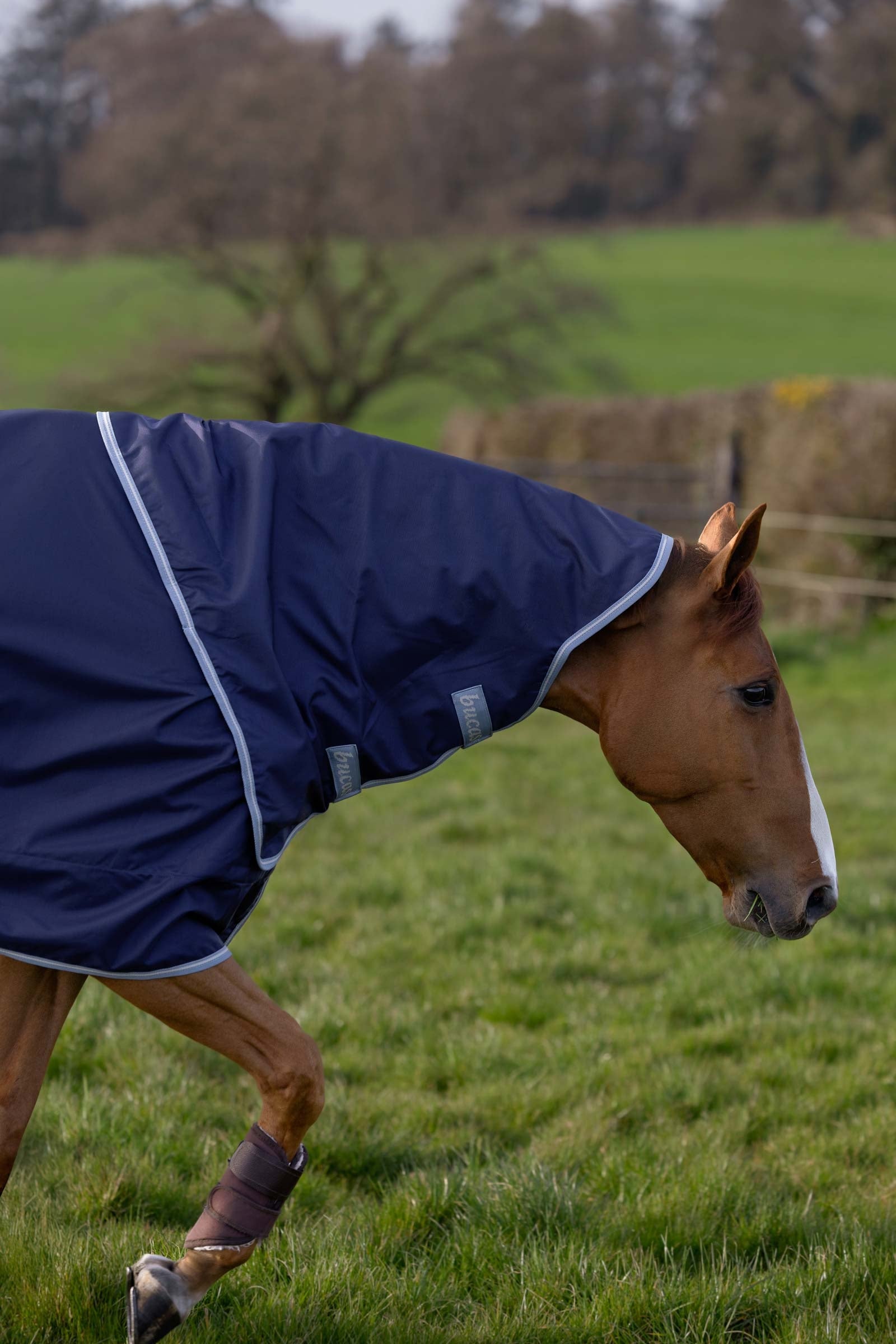 Bucas Atlantic Exclusive Rug & Neck, 150 g Horse Rugs