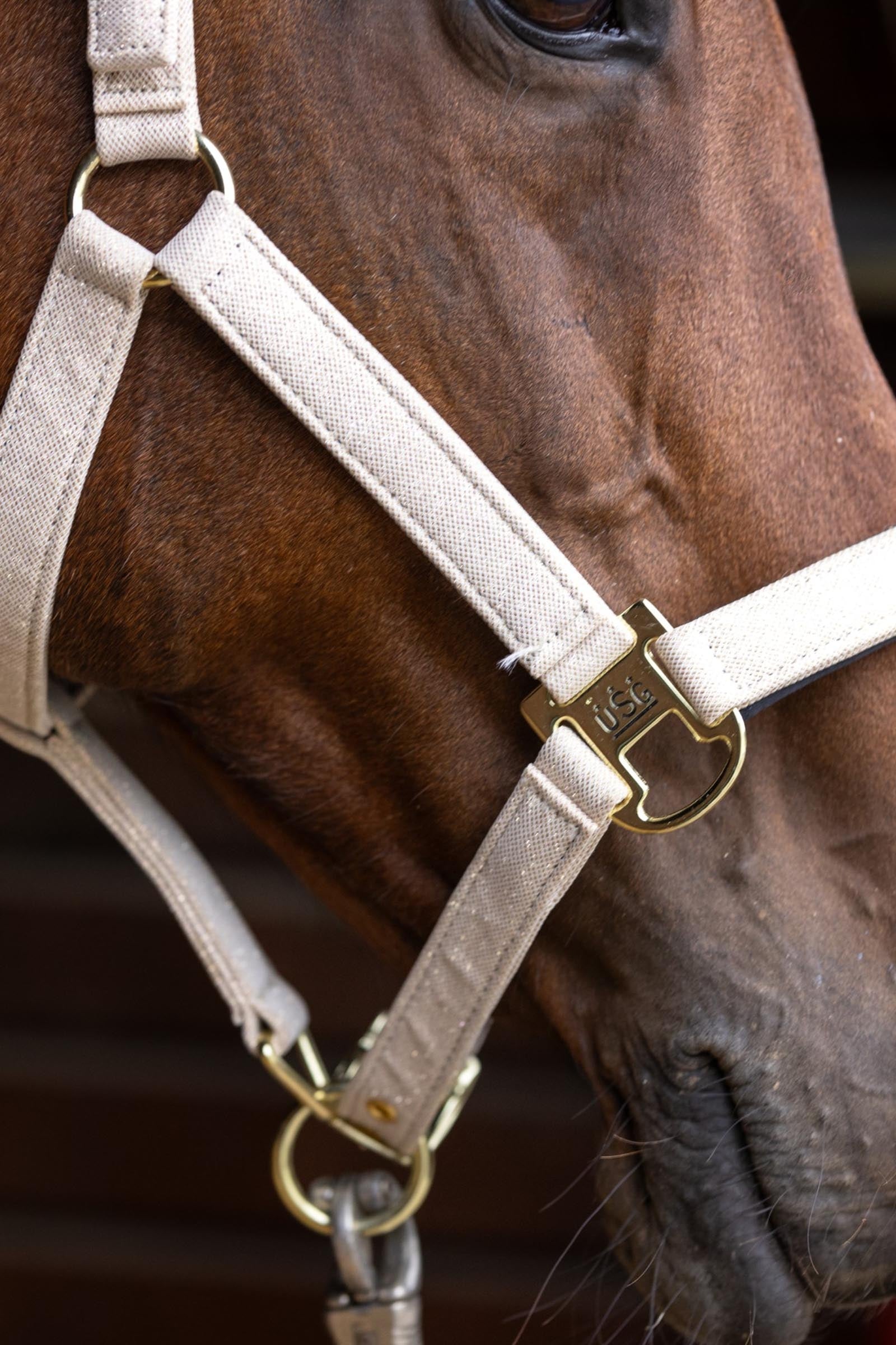 USG Onyx Softly Padded Halter Halters & Leads