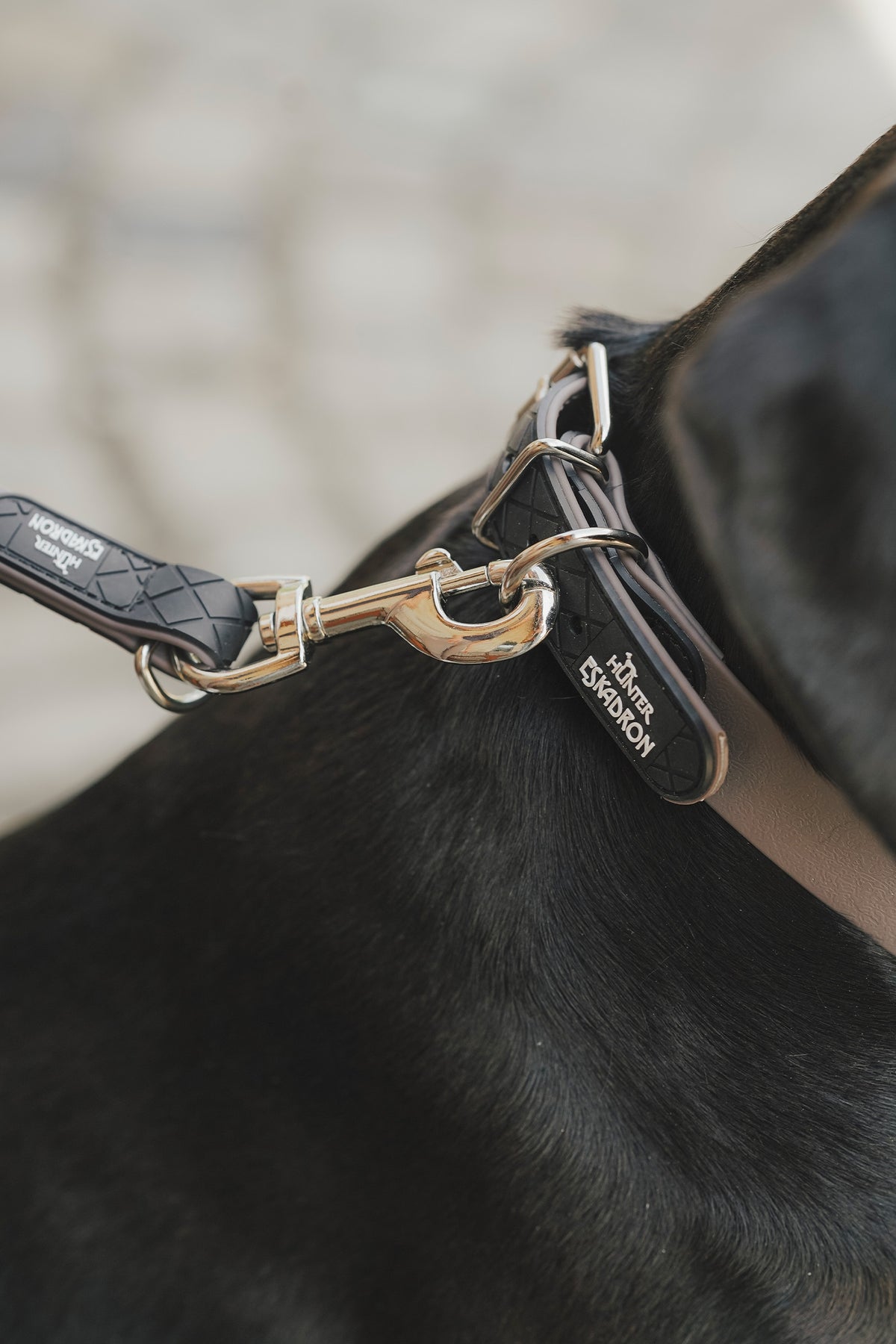 Eskadron Hunter x ESKADRON SPARK Dog Collar Dog Accesories