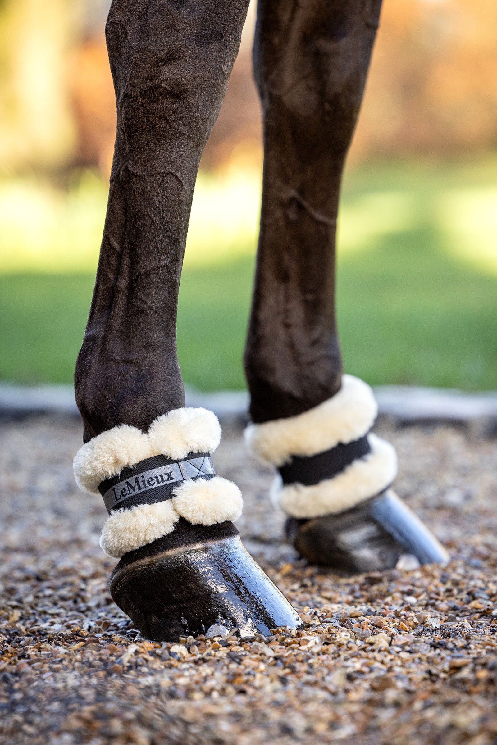 LeMieux Fleece Pastern Wrap Leg Protection & Hoof Protection for Horses