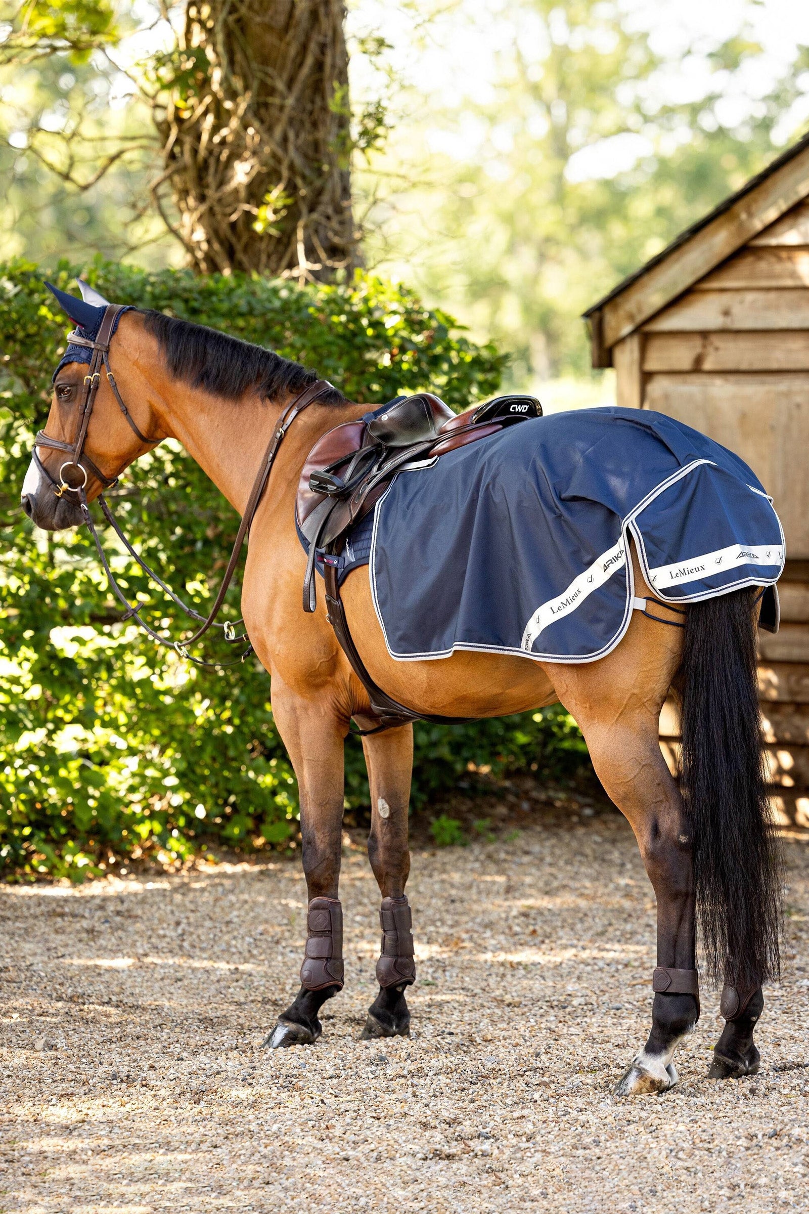 LeMieux Waterproof Exercise Quarter Sheet Horse Rugs