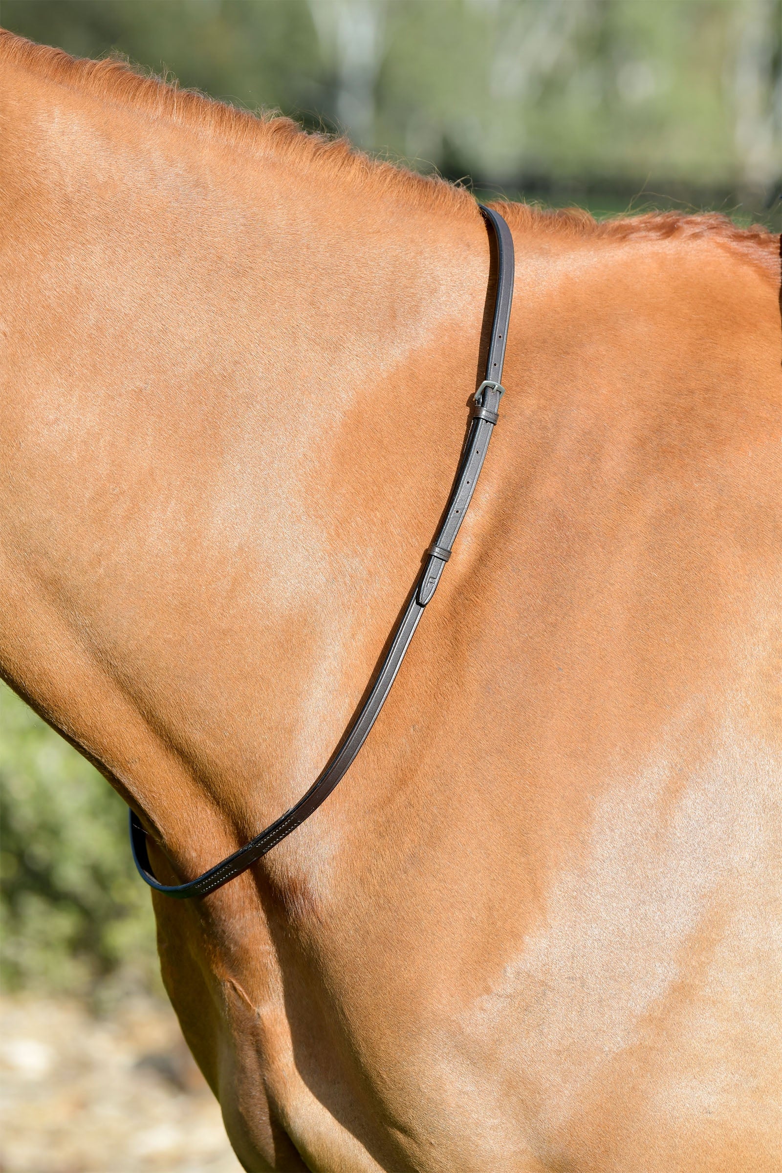 Kincade Classic Lederhalsriemen Trensenzäume & Zügel