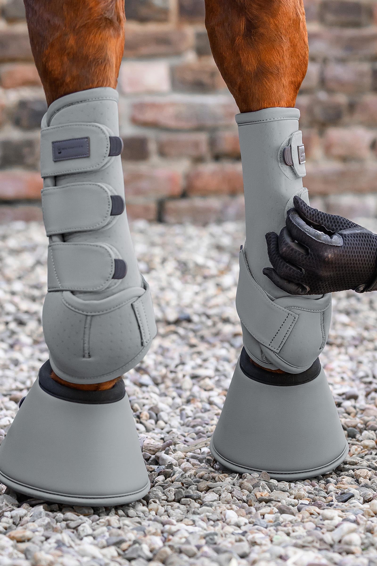 Waldhausen Performance Bell Boots Leg Protection & Hoof Protection for Horses
