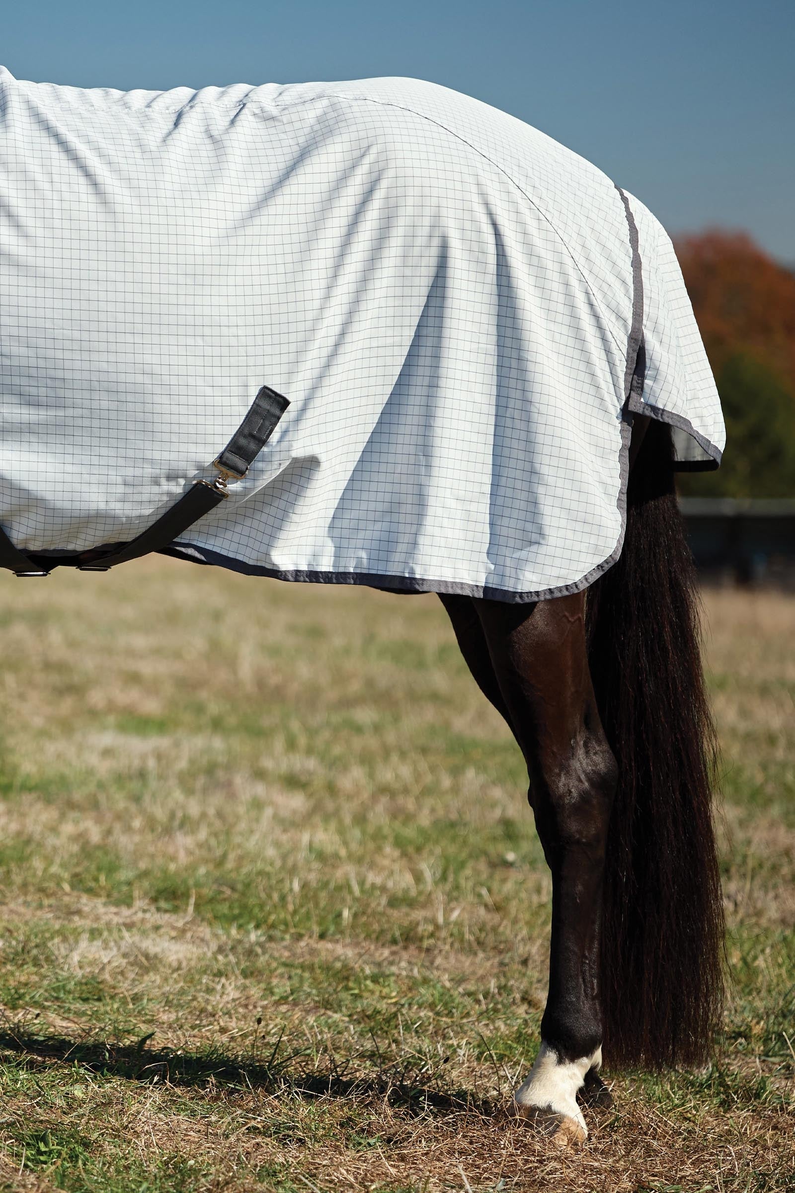 Weatherbeeta Hybrid Sheet Combo W. Fixed Neck, 0g Horse Rugs
