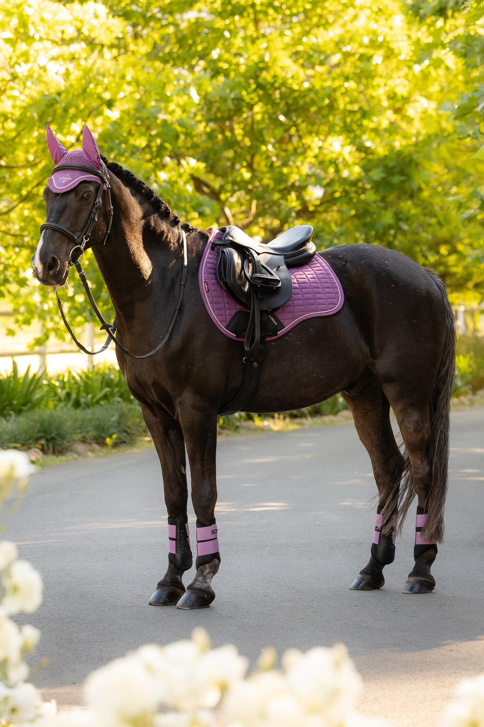 LeMieux Suede GP Square Saddle Pads