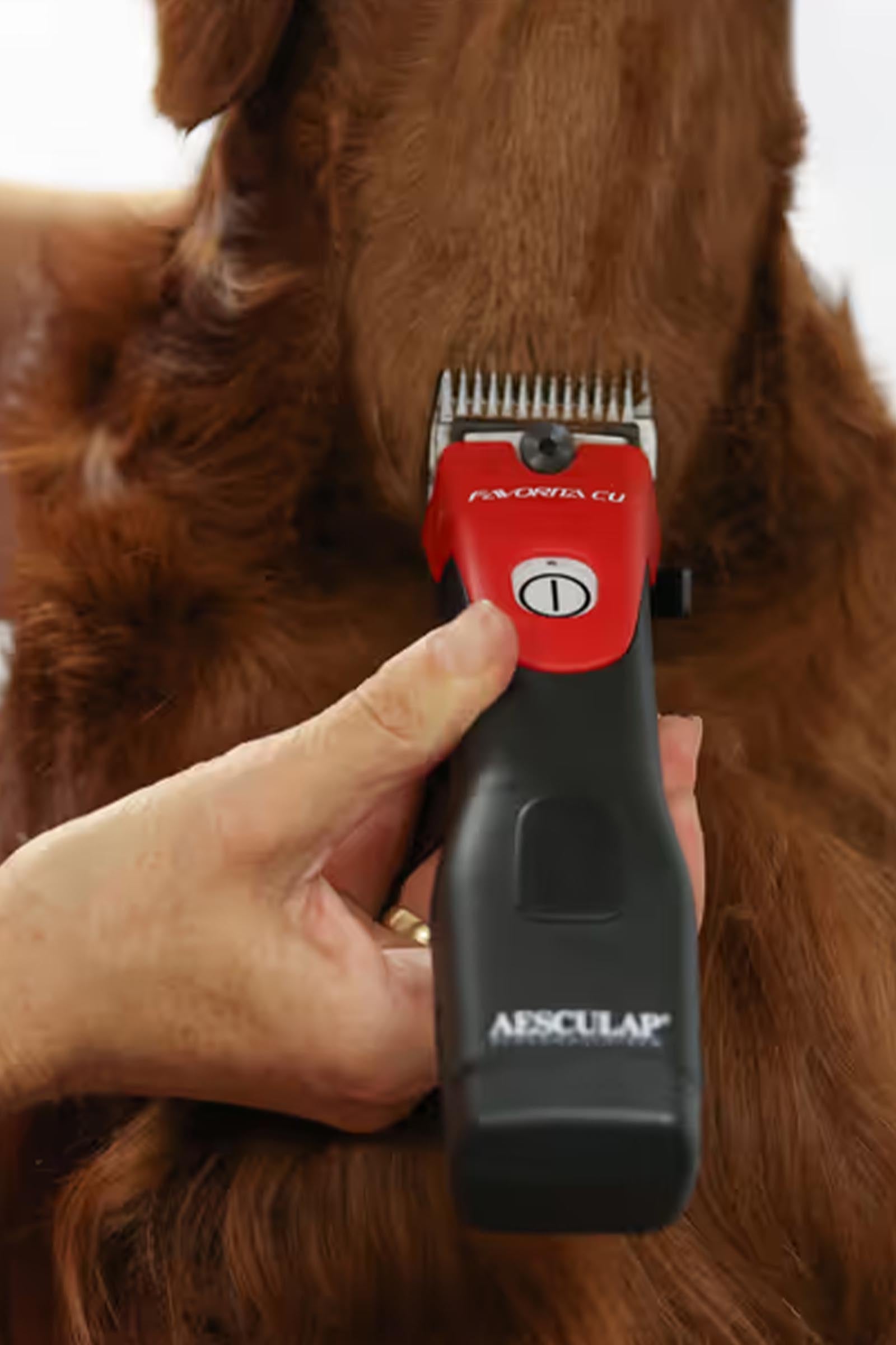 Aesculap Favorita CLi Clipper, cordless (incl. 1 battery) Horse Clipping & Trimming Tools
