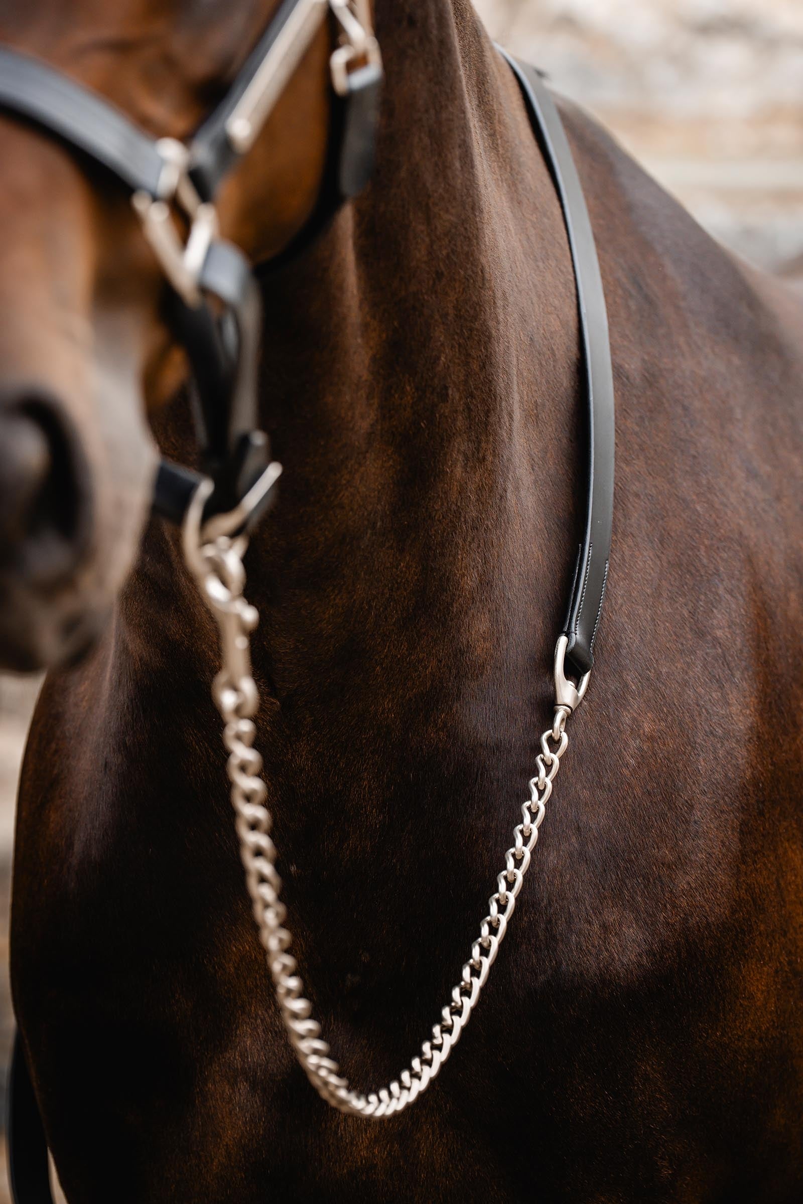 Horseware Signature Lead with Chain Halters & Leads