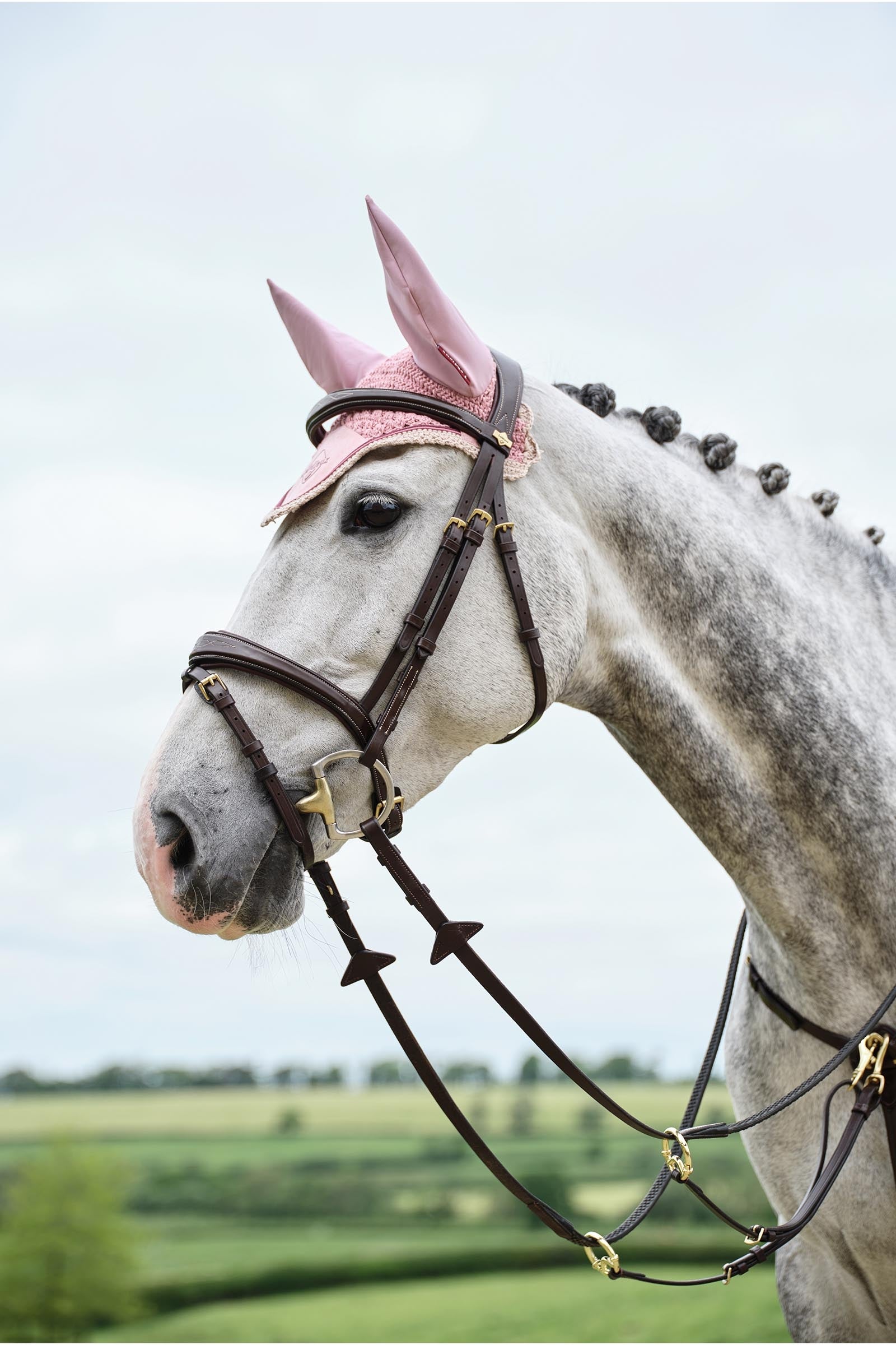 LeMieux Classic Fly Hood Saddle Pads