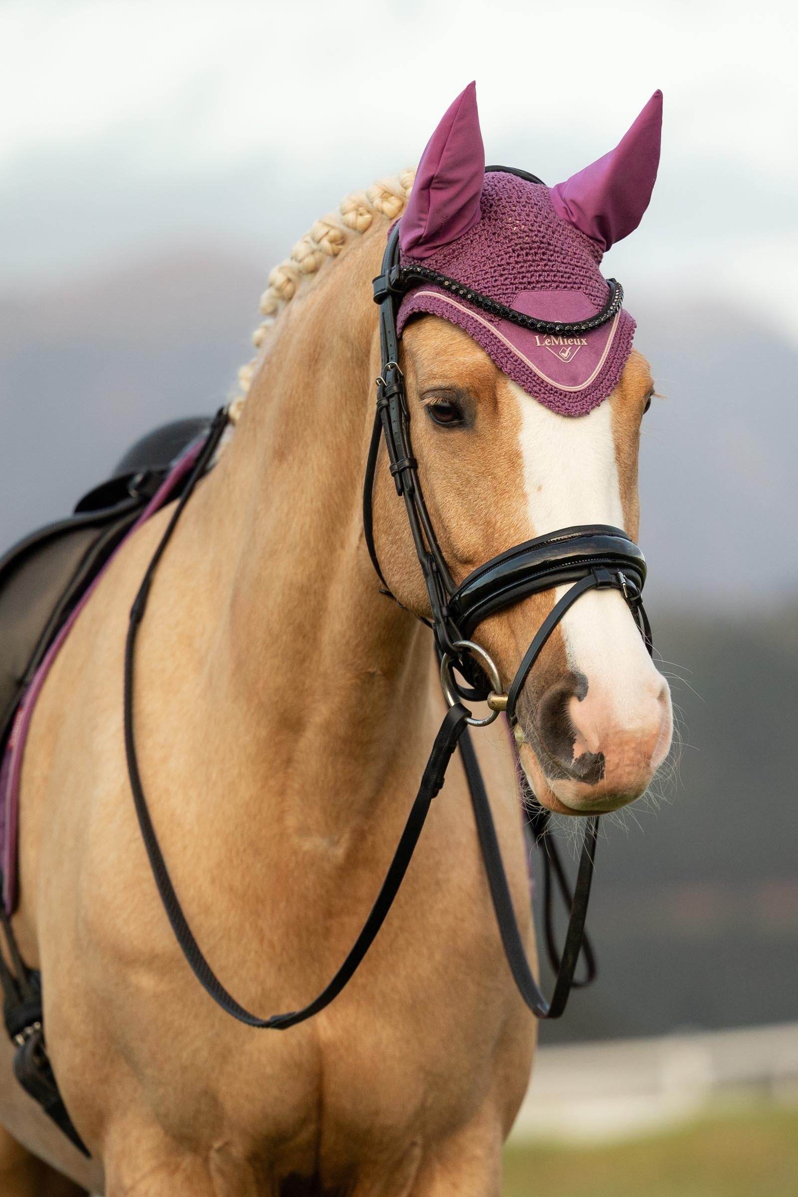 LeMieux Classic Fly Hood Saddle Pads