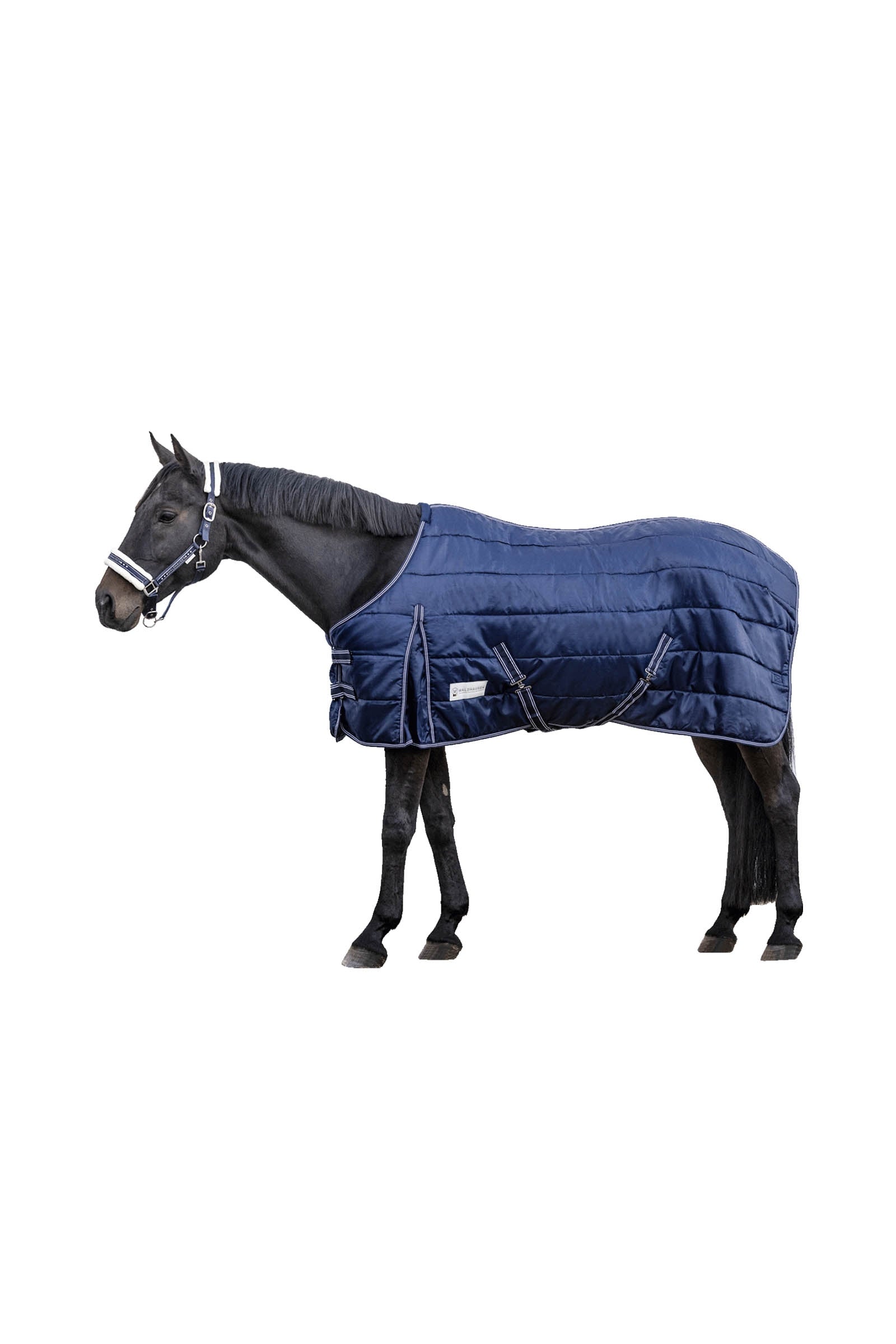 Waldhausen Stable rug Economic 200 g Pferdedecken