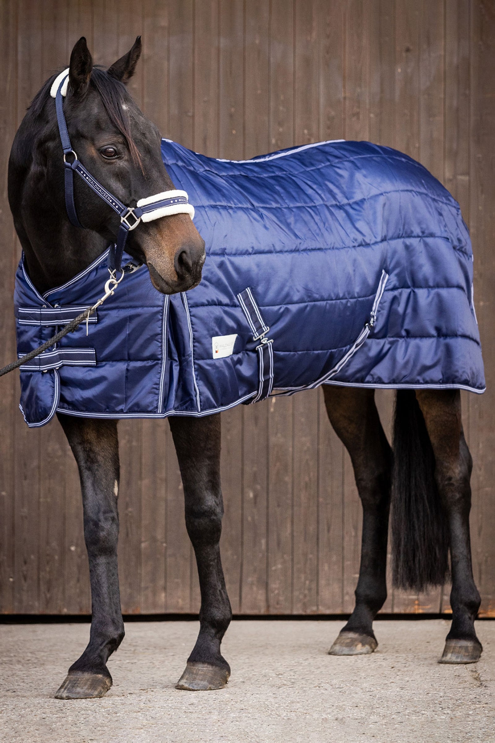 Waldhausen Stable rug Economic 200 g Horse Rugs