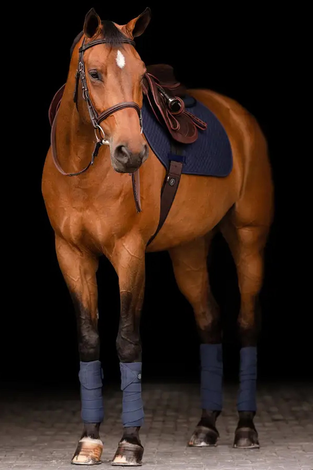 EquiFit ImpacTeq® Half Pad Saddle Pads