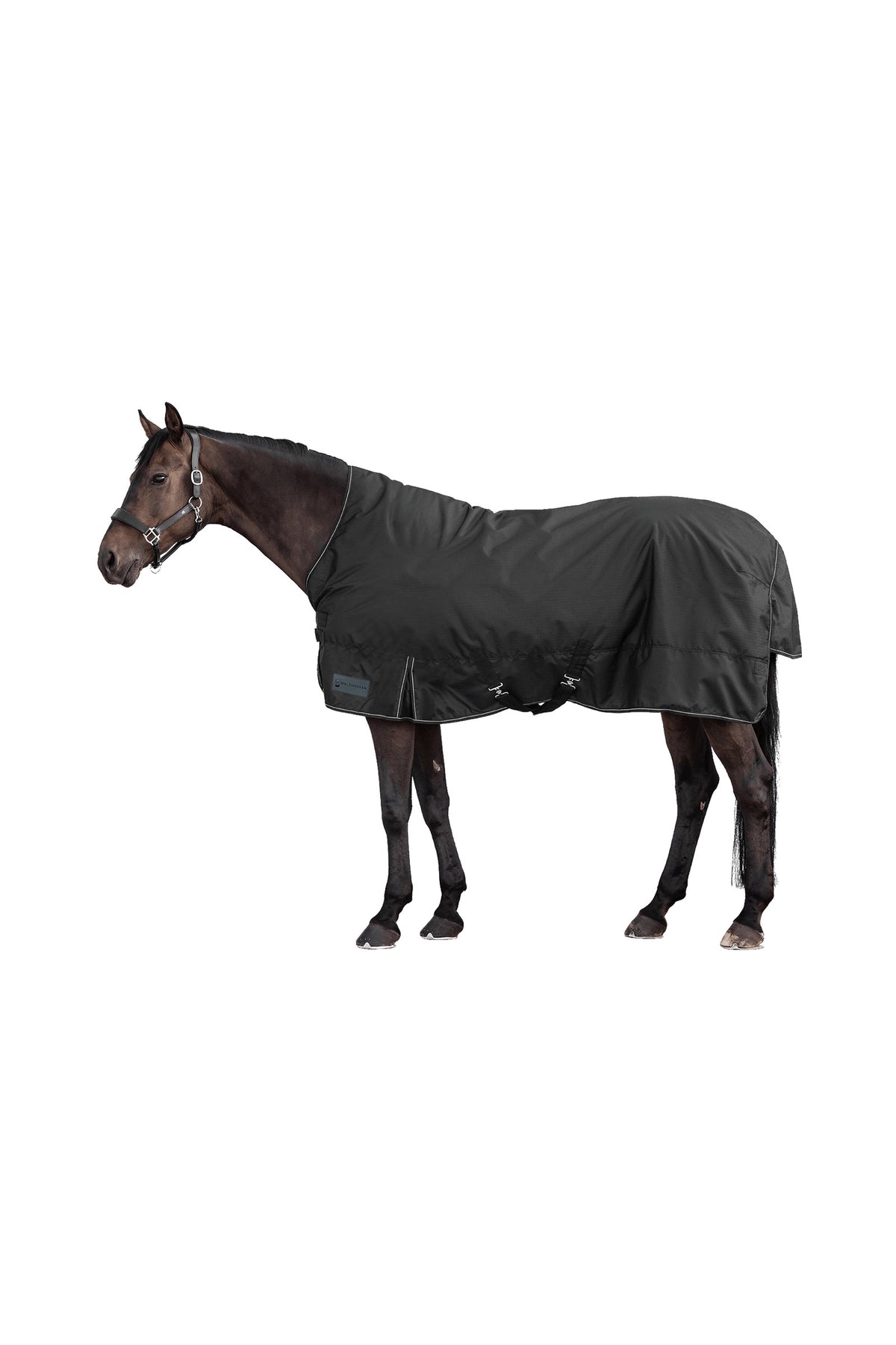 Waldhausen NORDIC High Neck Outdoor Rug, 200 g Horse Rugs