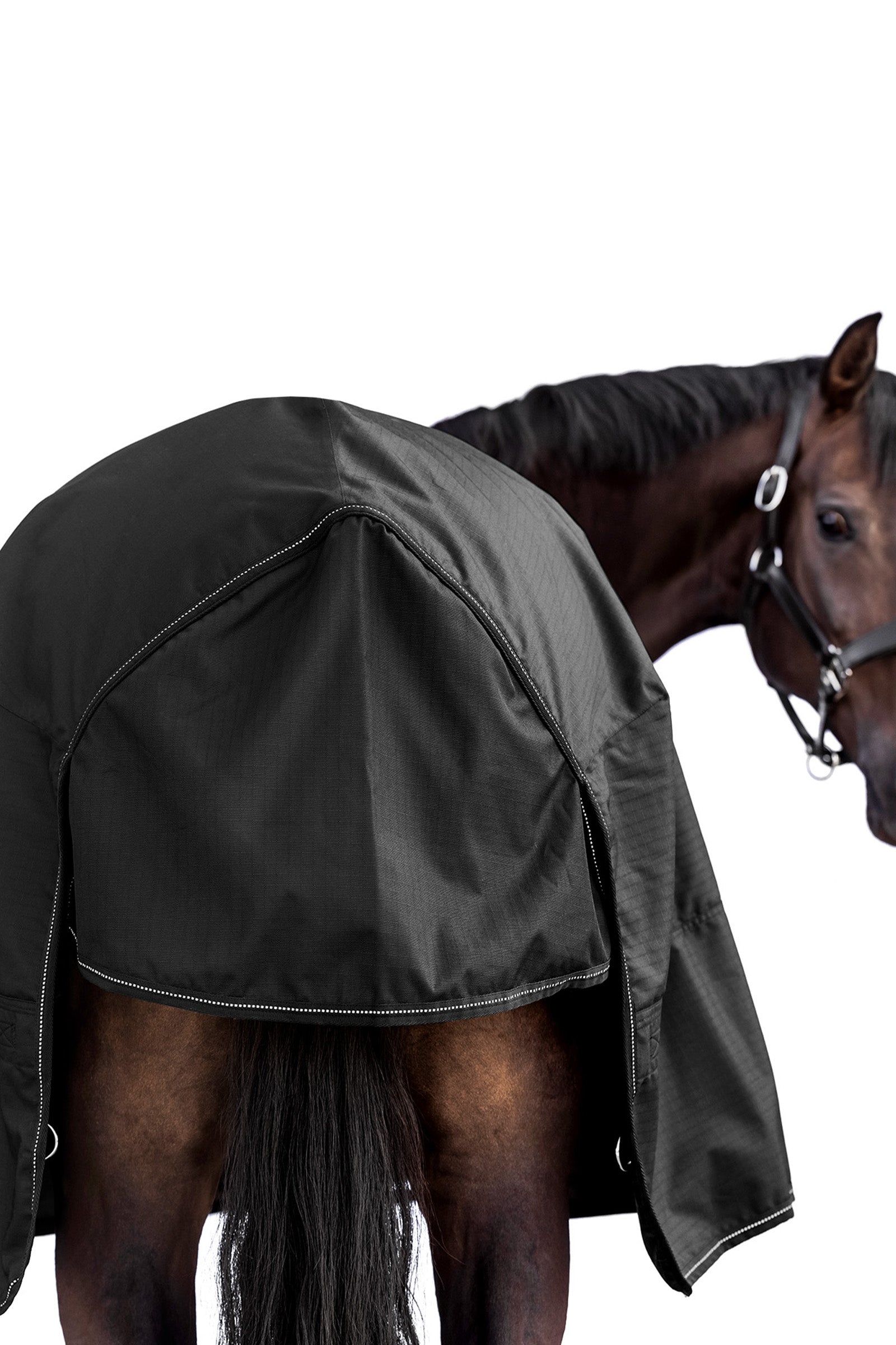 Waldhausen NORDIC High Neck Outdoor Rug, 200 g Horse Rugs