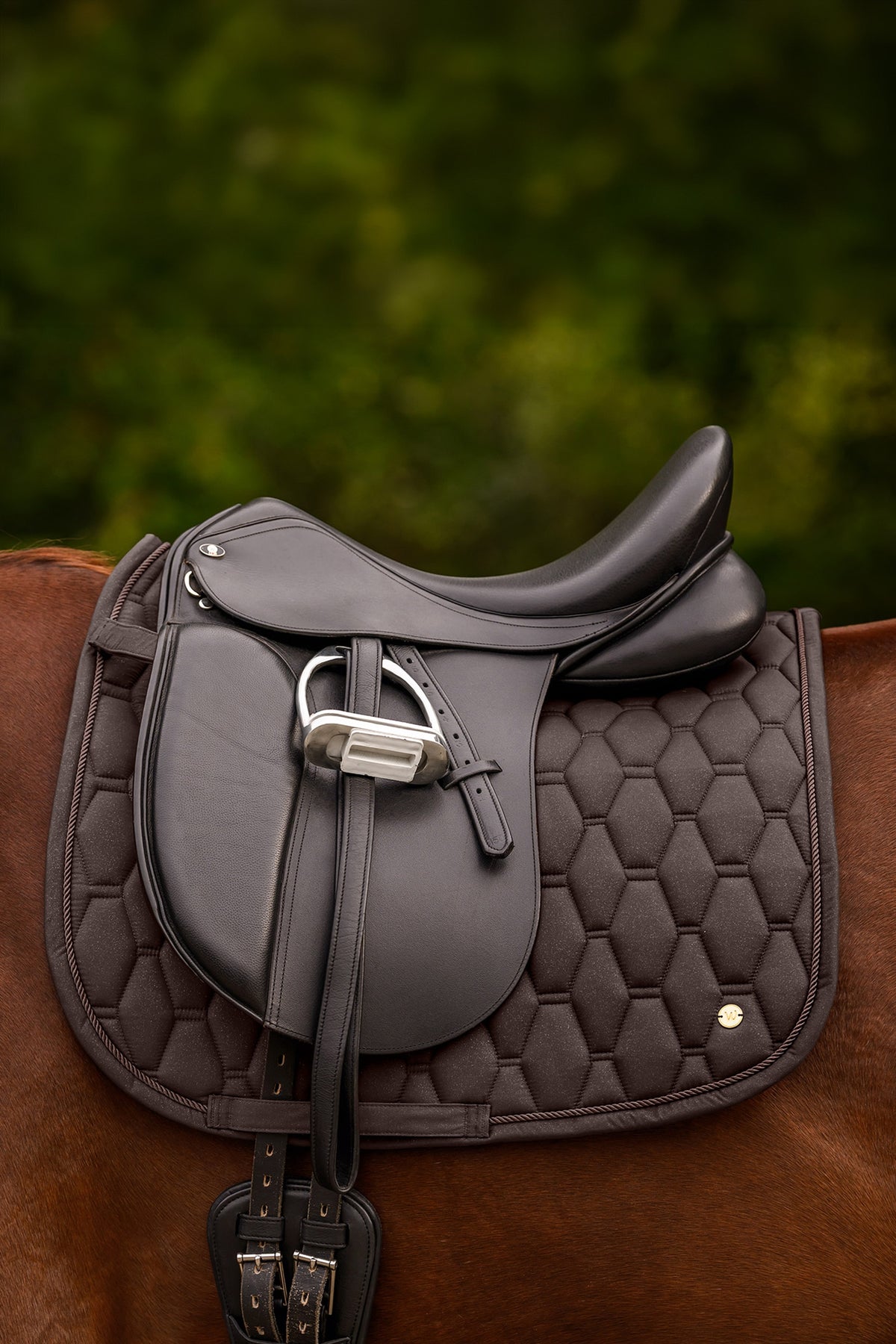 Waldhausen Phoenix Dressage Saddle Pad Saddle Pads