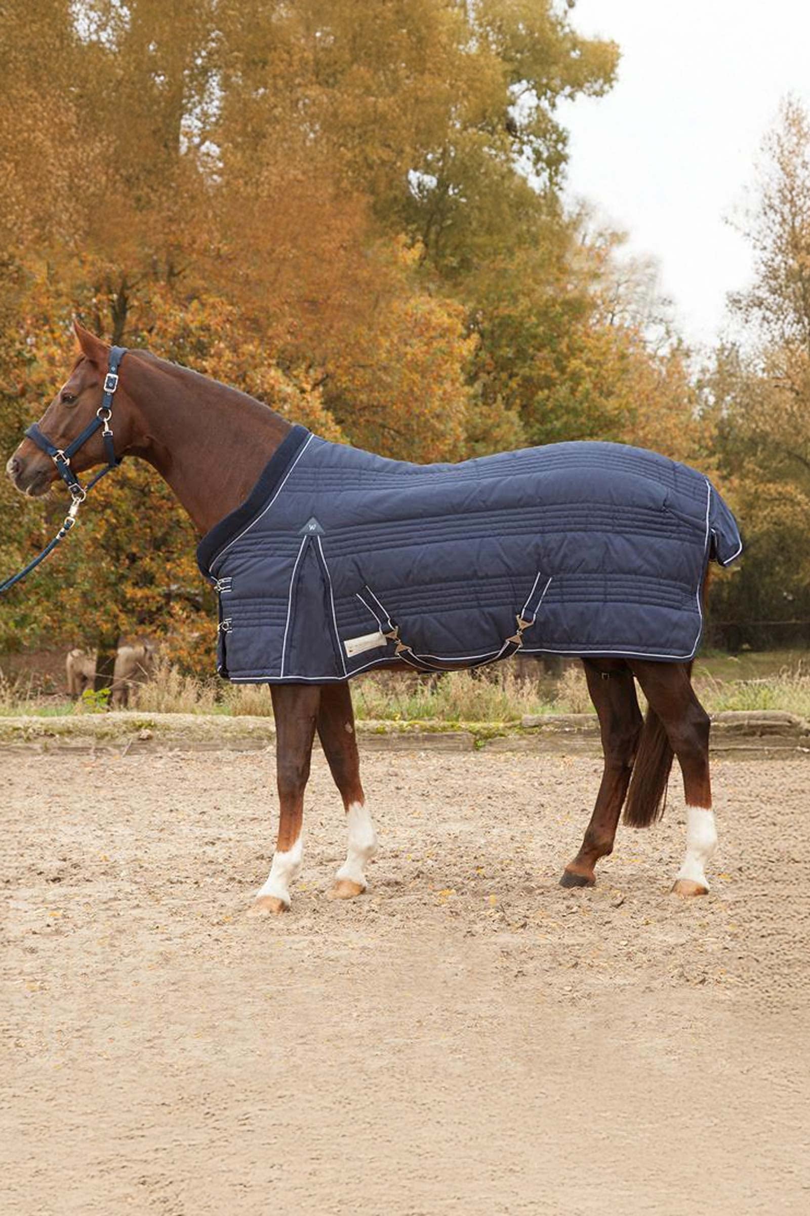 Waldhausen Stable Rug Comfort Line 100g Pferdedecken