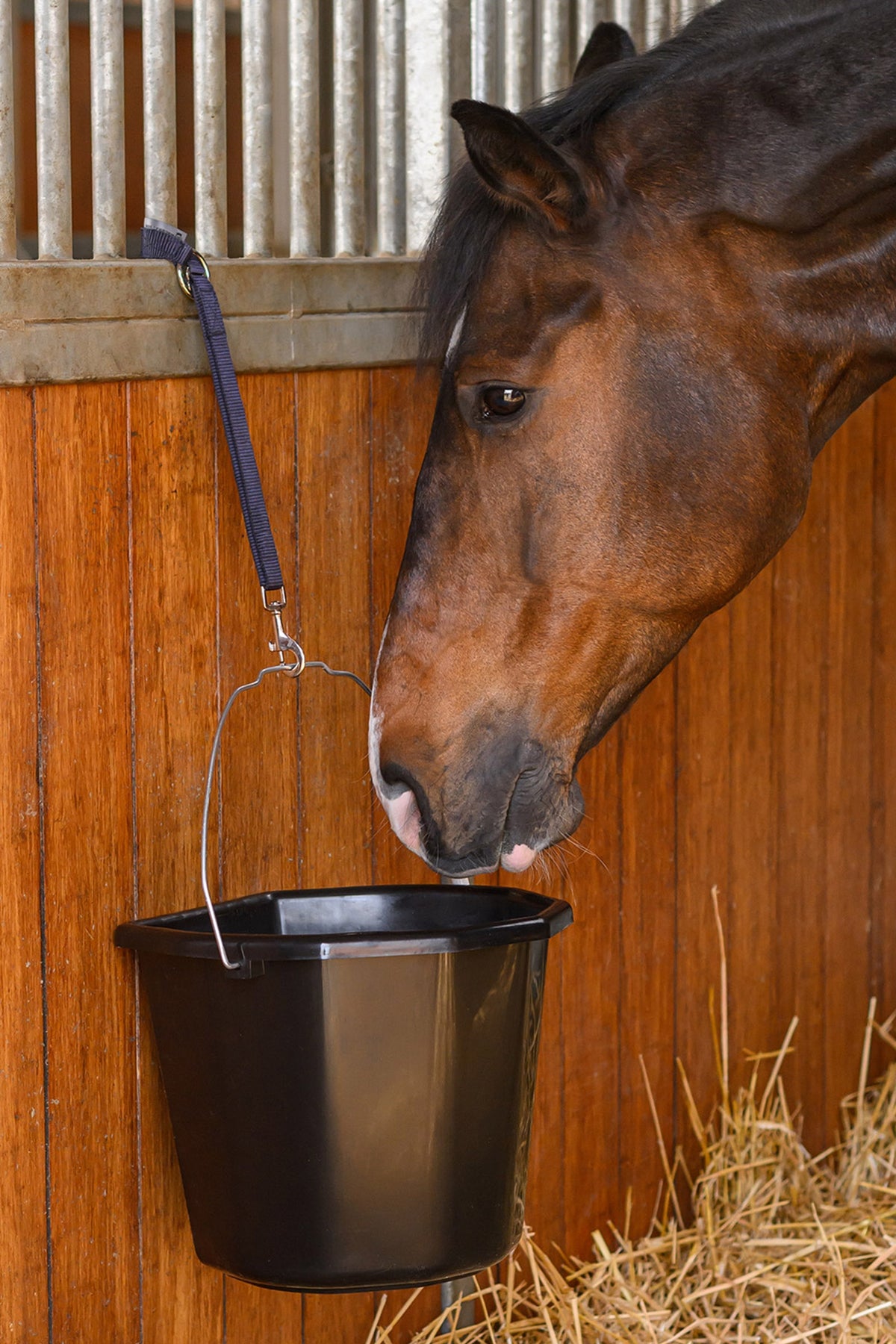 Waldhausen Multi-Purpose Bucket, 20 L Horse Feeders & Waterers