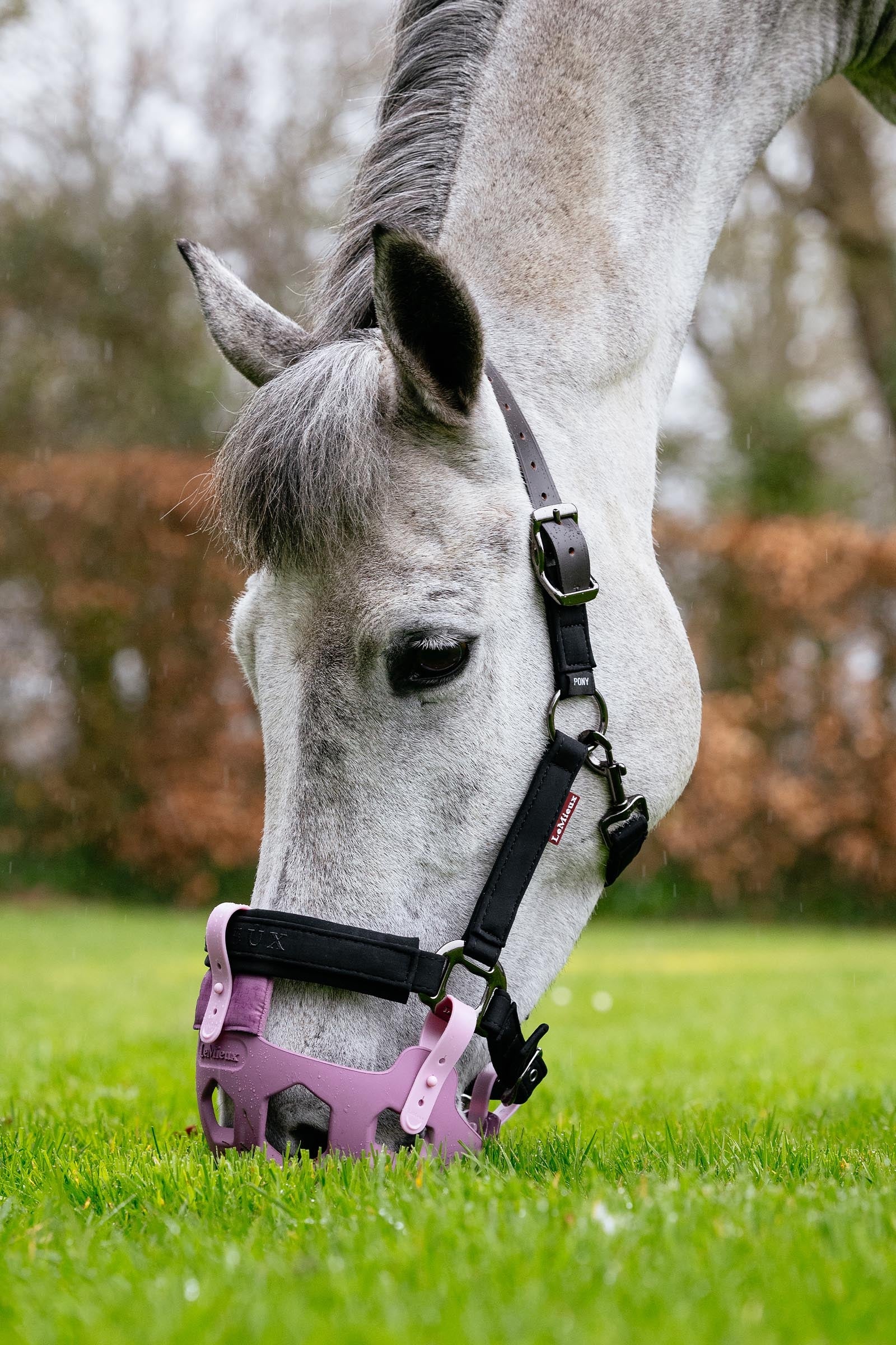 LeMieux Noma Grazing Muzzle Halters & Leads