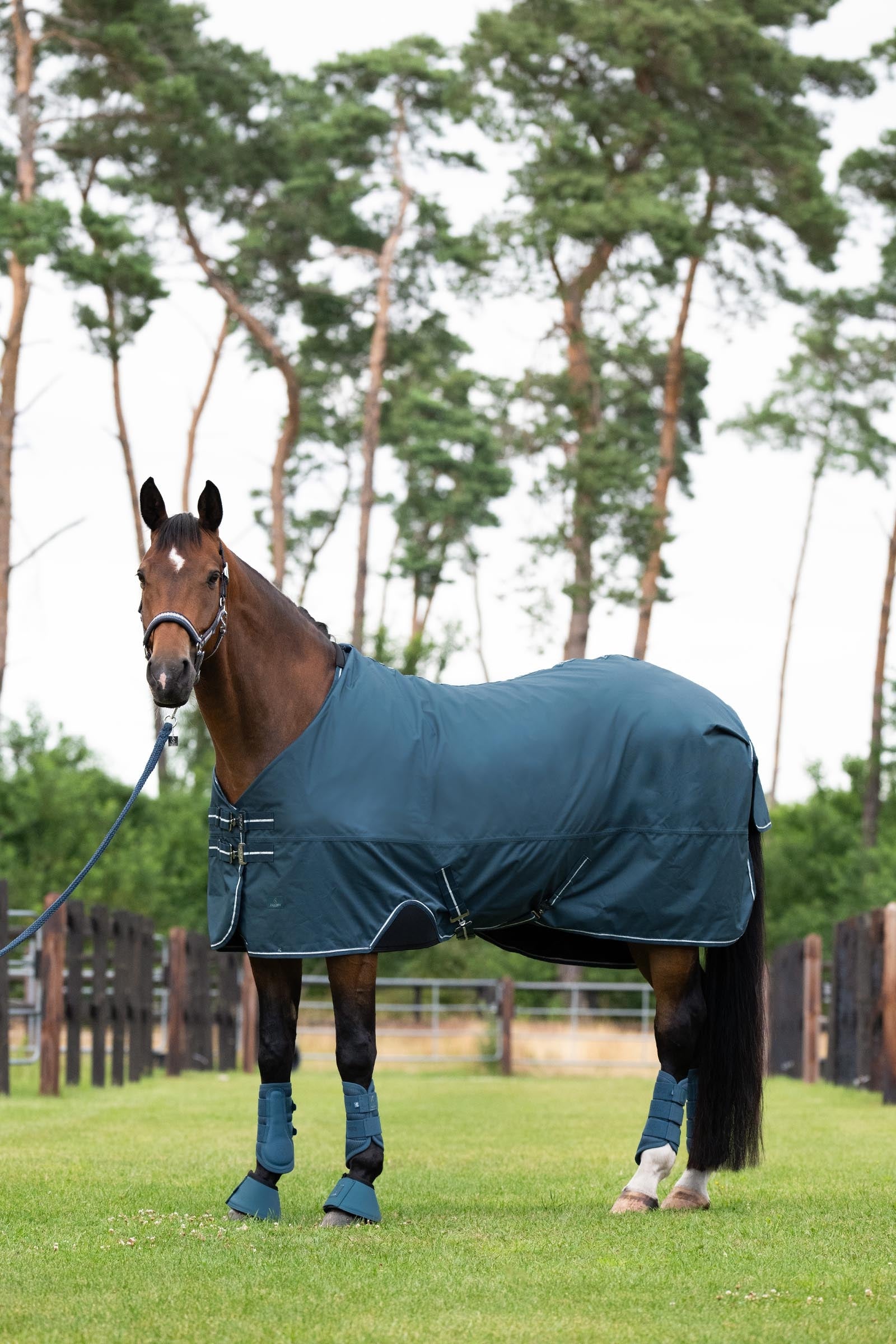 Eskadron Classic Sport SS26 Waterproof Light Turnout Rug, 0g Horse Rugs