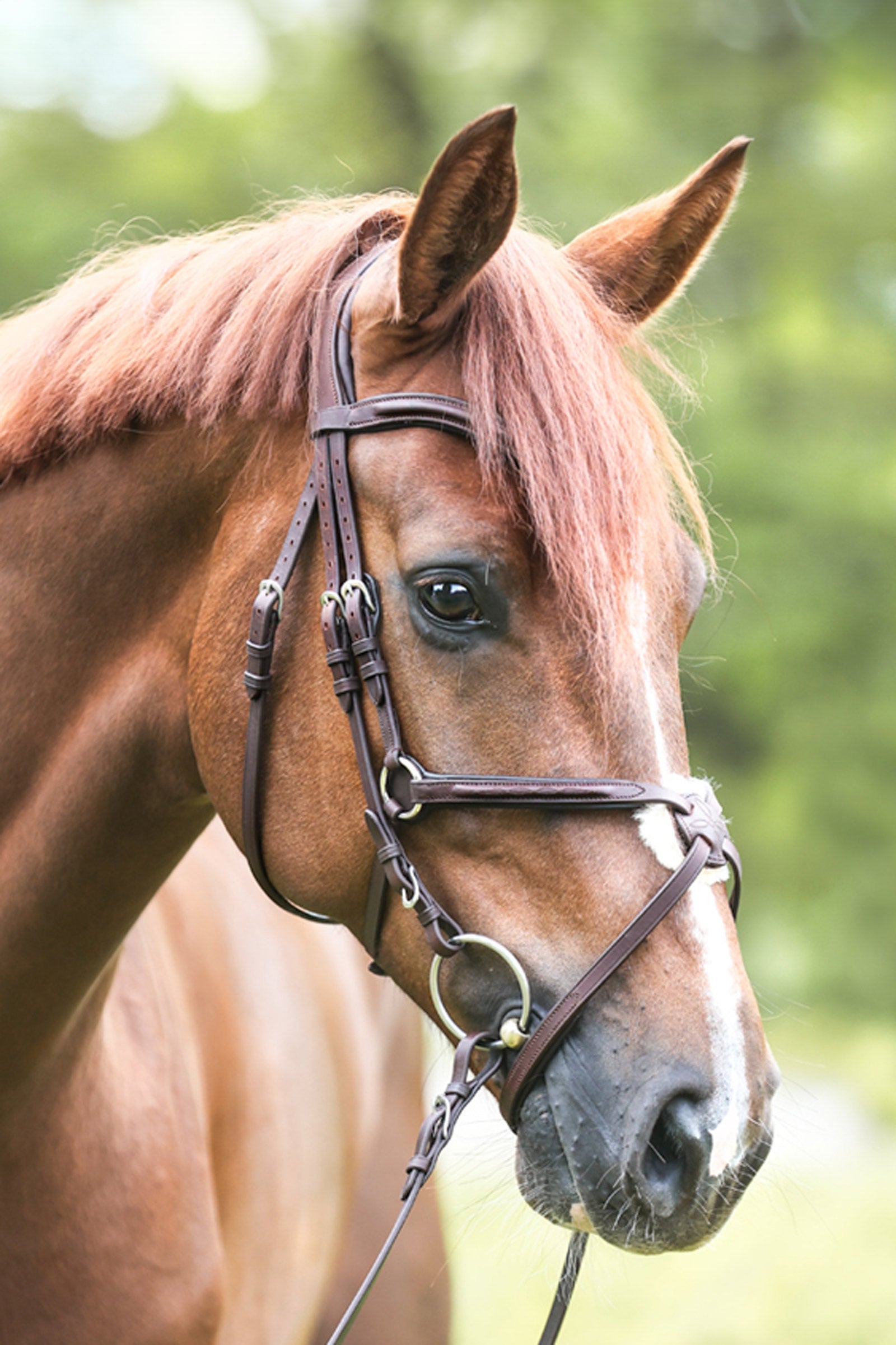 Kavalkade Bridle Everado mexican nb. Bridles & Reins