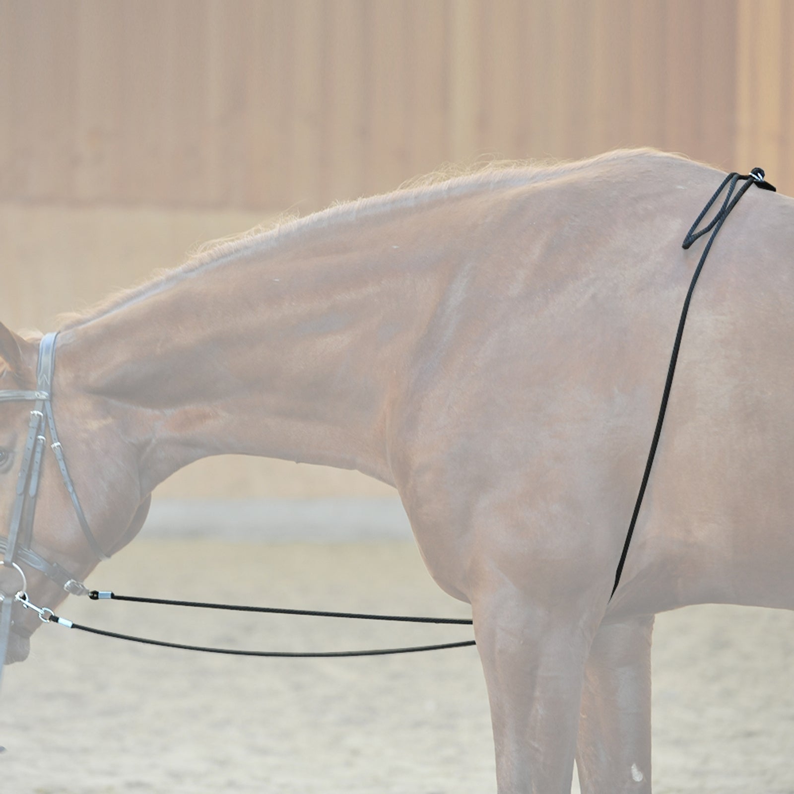 Kavalkade HO-Longierhilfe Longieren & Bodenarbeit
