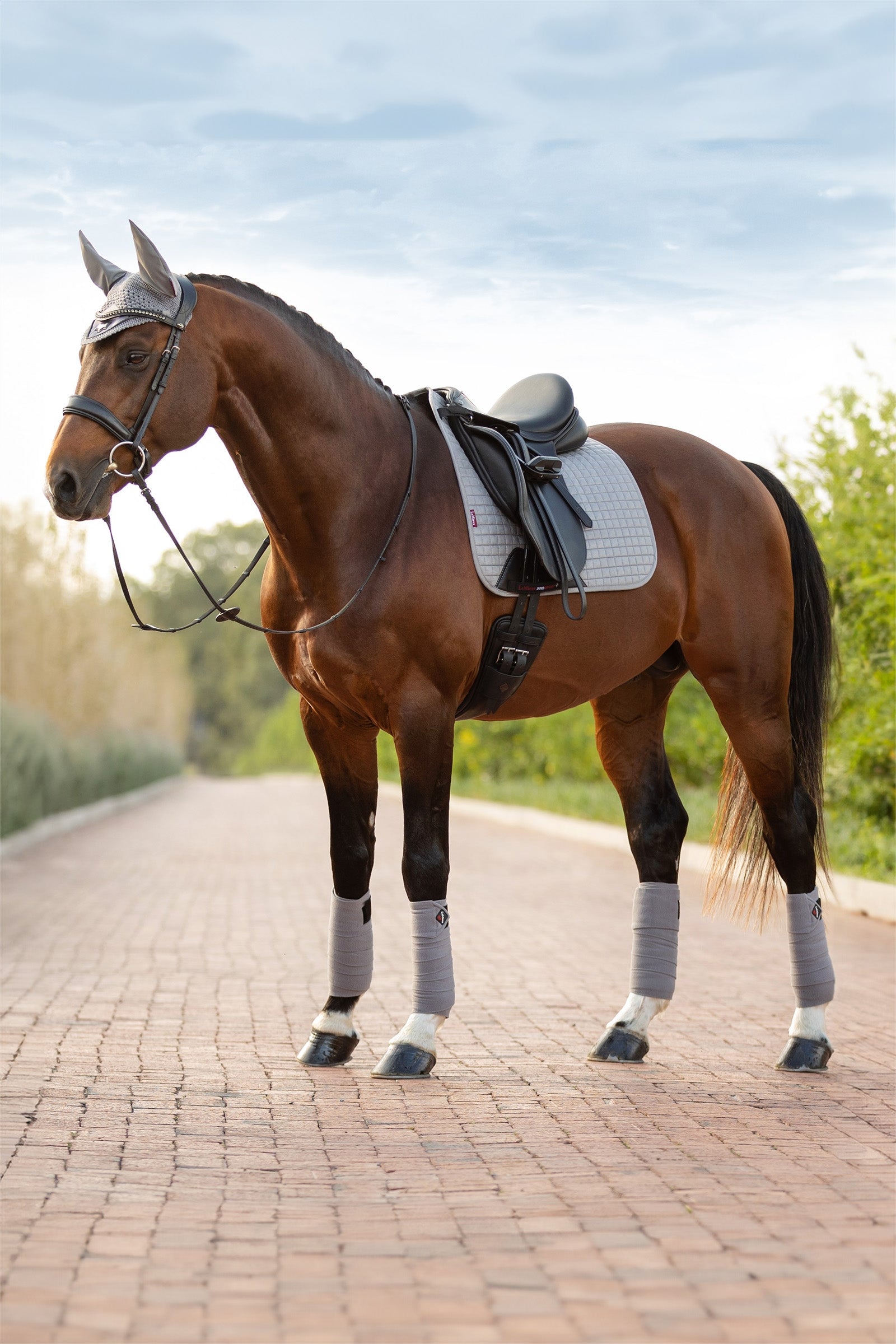 LeMieux Suede Dressurschabracke Schabracken