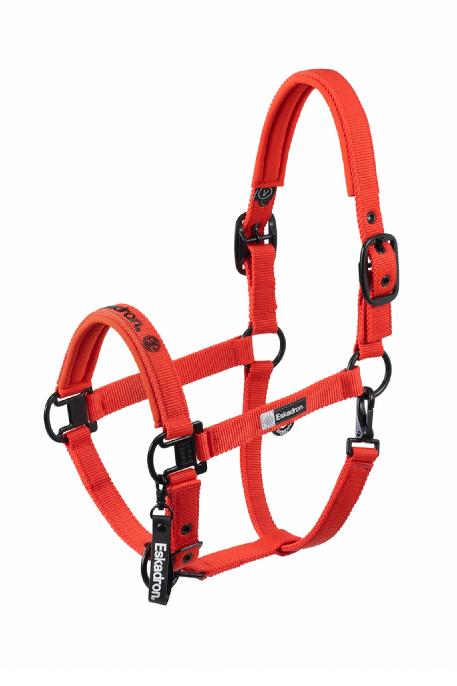 Eskadron Dynamics AW25 Halfter mit Dornschnalle doppelt Halfter & Stricke