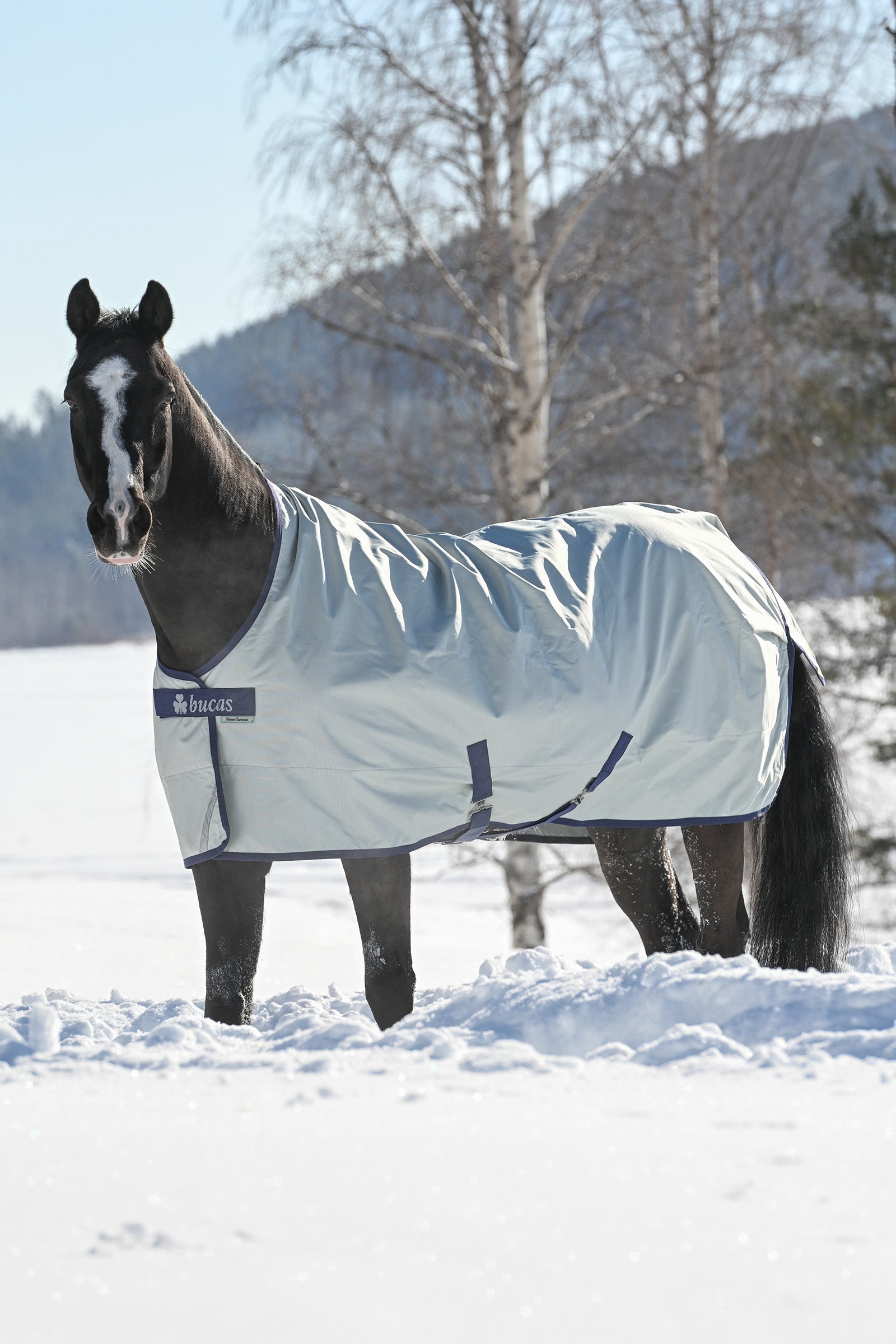 Bucas Power Turnout Medium Horse Rugs