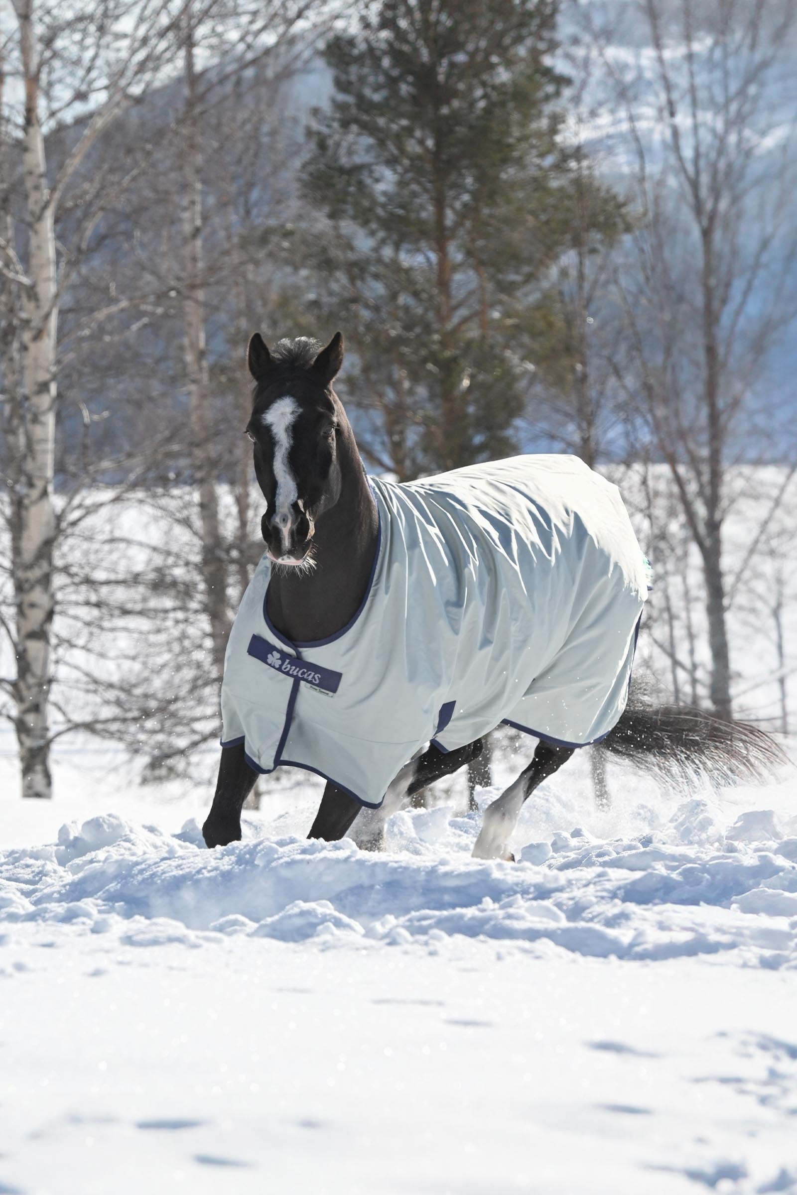 Bucas Power Turnout Medium Horse Rugs
