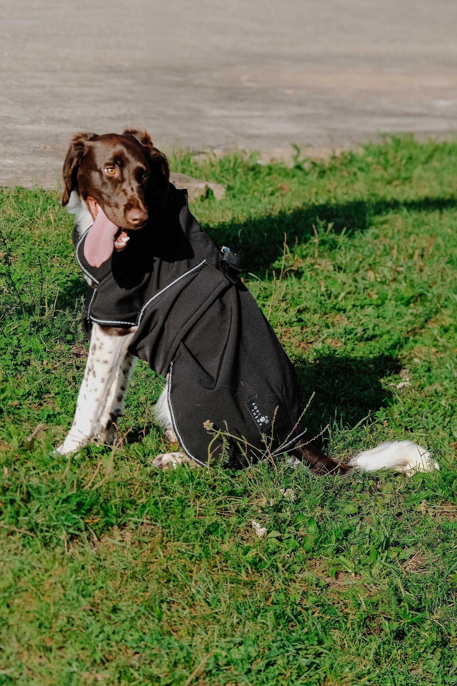 Equi Theme EQUITHÈME Softshell Dog Rug Dog Accesories