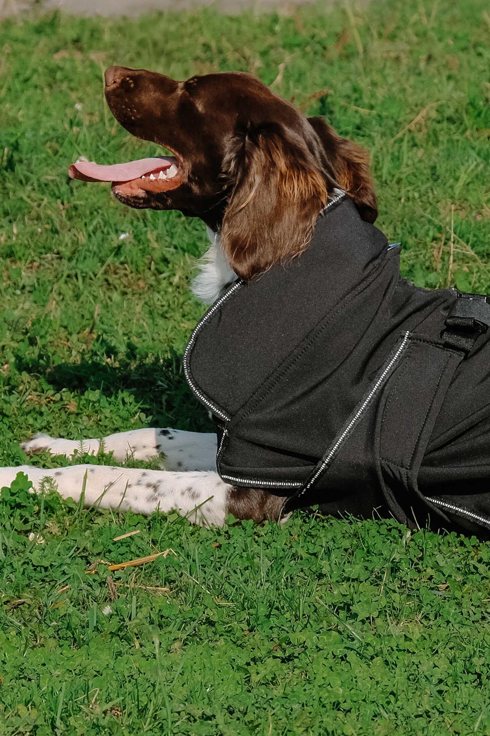 Equi Theme EQUITHÈME Softshell Dog Rug Dog Accesories