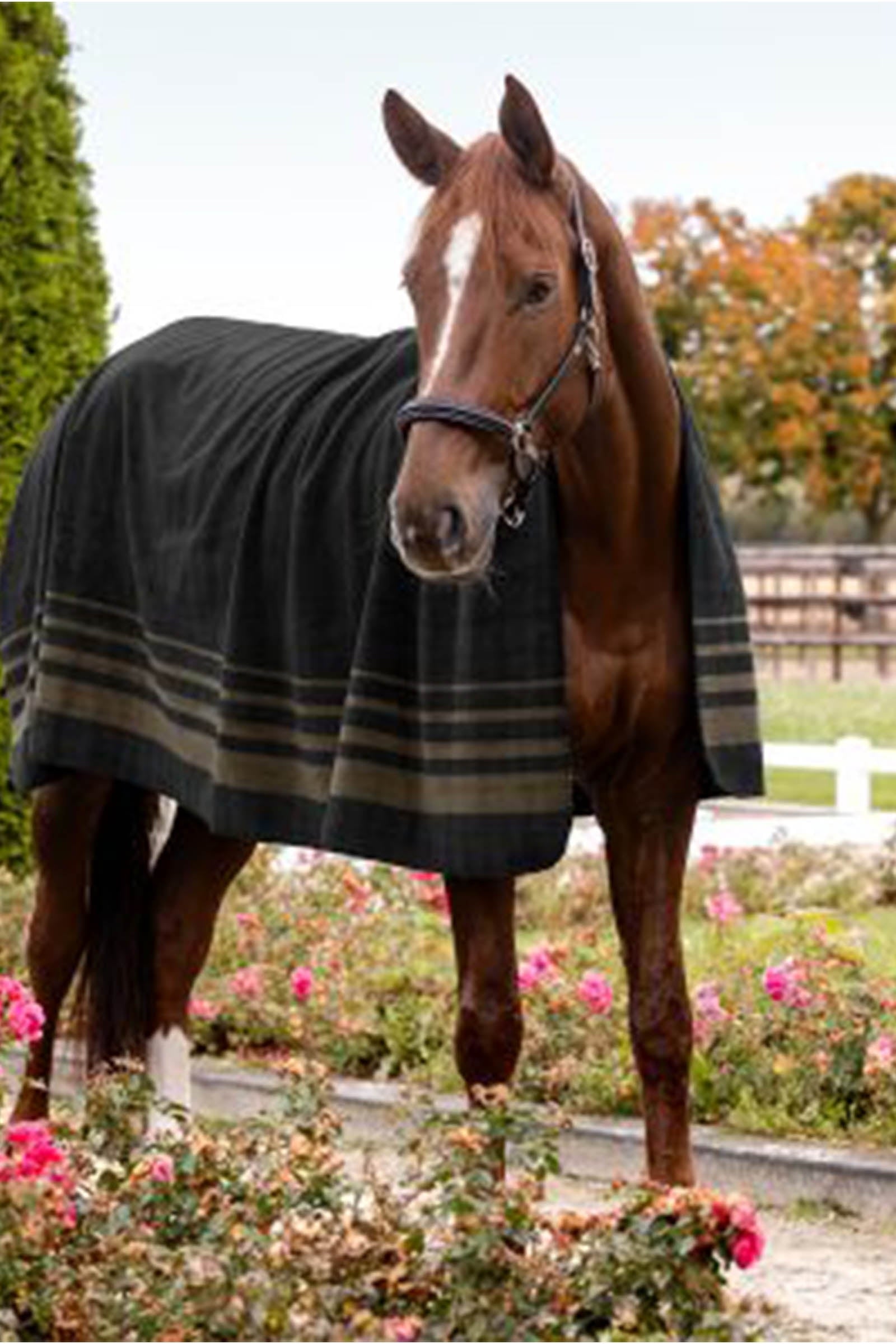 Waldhausen Sölden Fleece Rug Horse Rugs