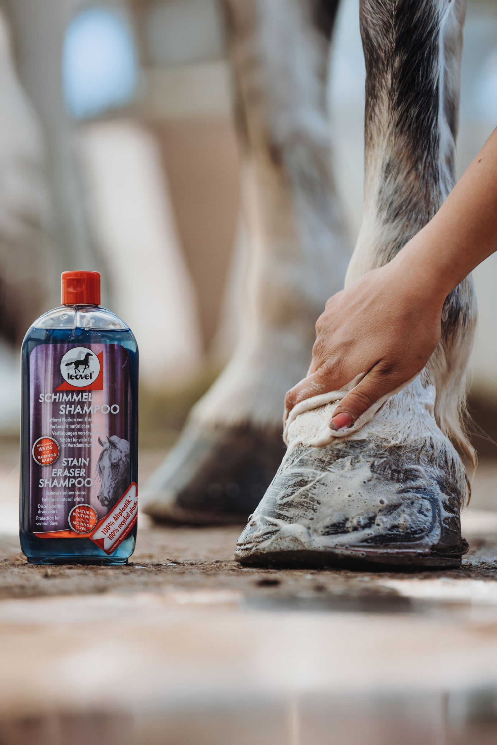 Leovet Stain Eraser Shampoo Horse Health Care