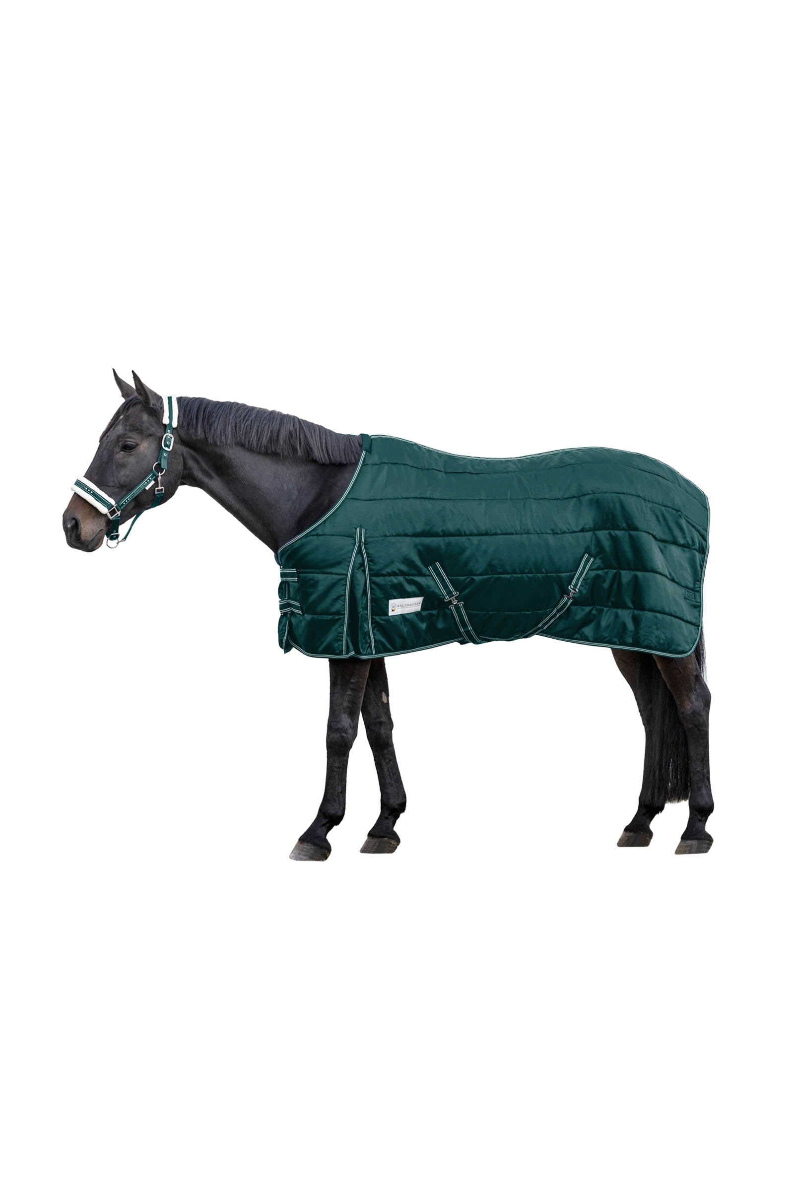 Waldhausen Stable Rug Economic 100 g Pferdedecken
