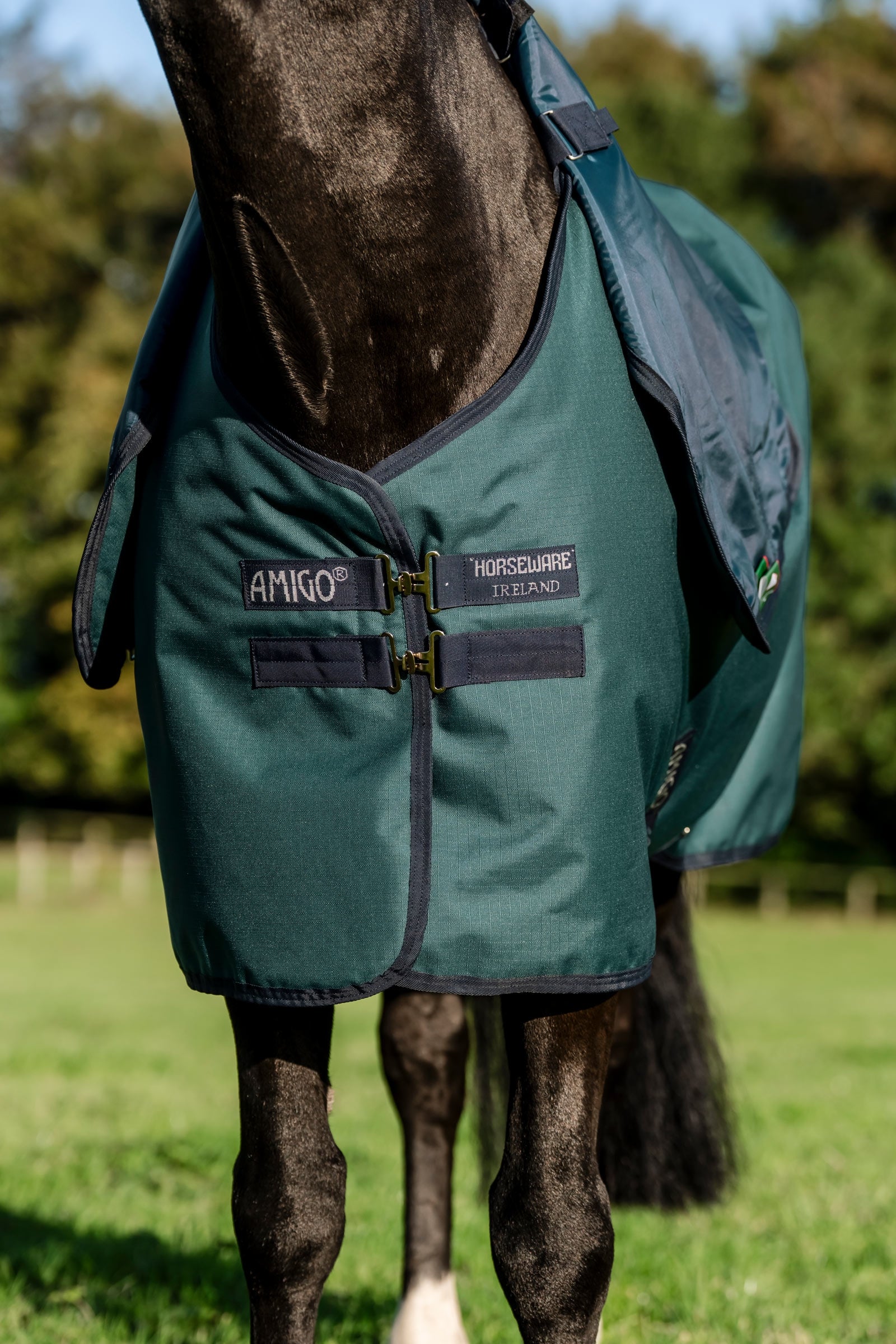 Horseware Amigo Ripstop 900D Plus Pony Turnout Rug, 50 g Horse Rugs