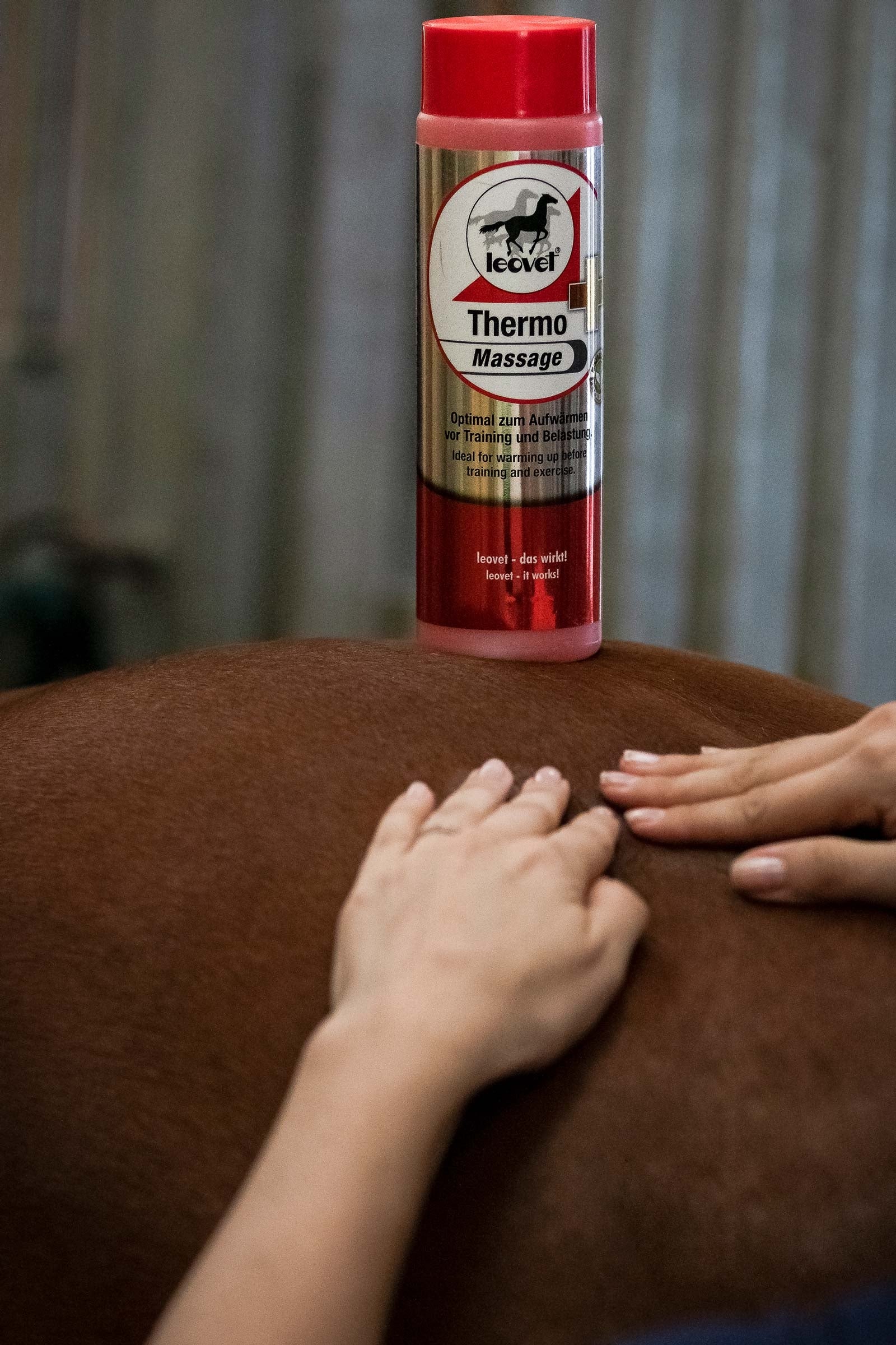 Leovet Thermo-Massage Horse Health Care