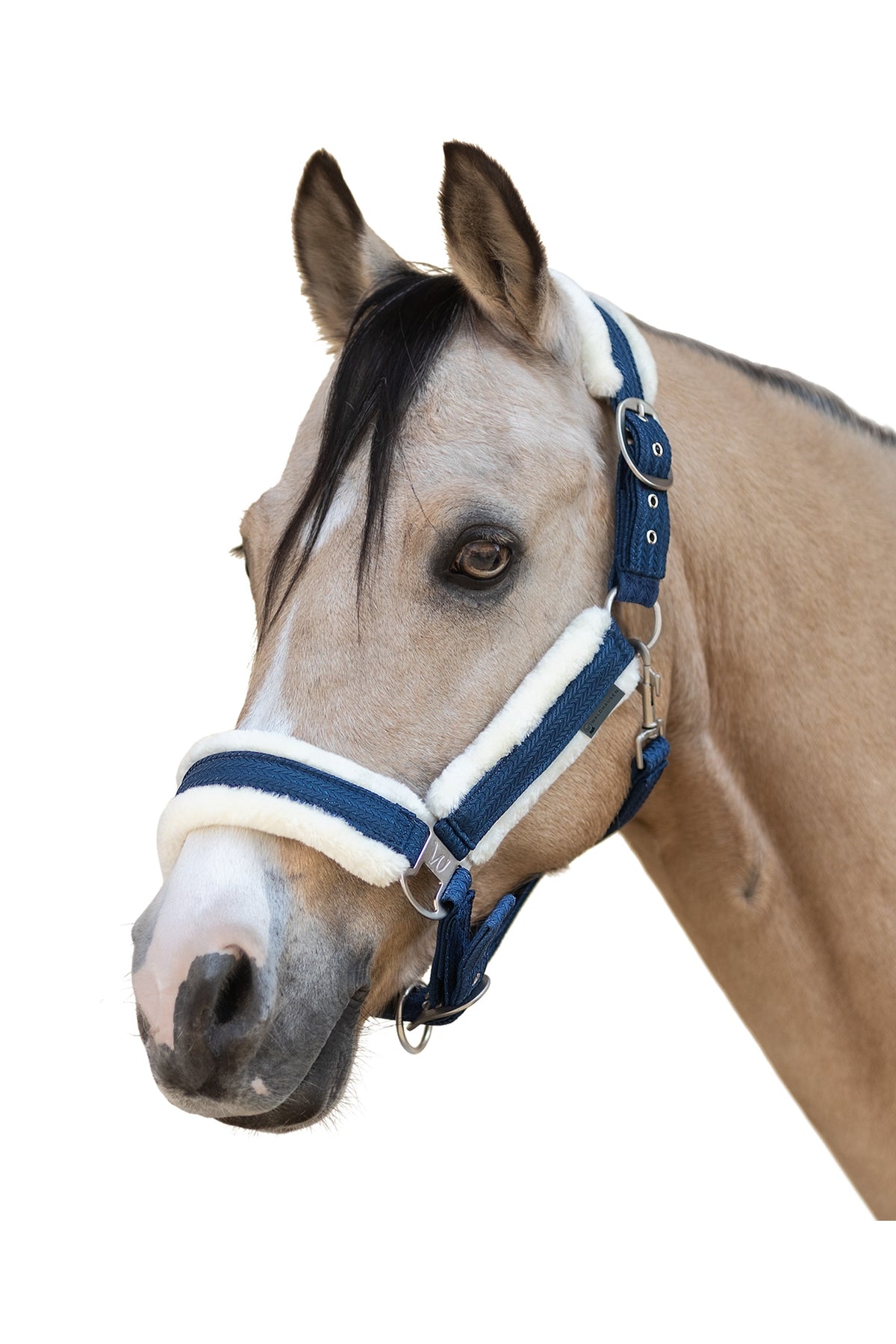 Waldhausen Sparkle Halter Halters & Leads