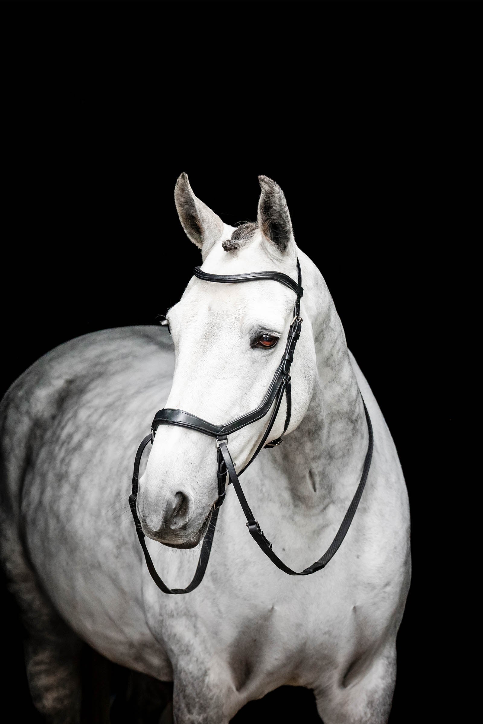 Horseware Micklem gebisslose Trense Trensenzäume & Zügel