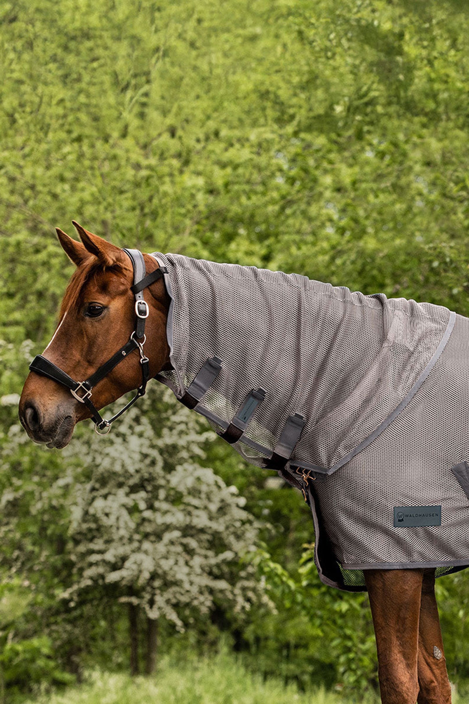 Waldhausen Comfort Fly Neck Cover Horse Rugs