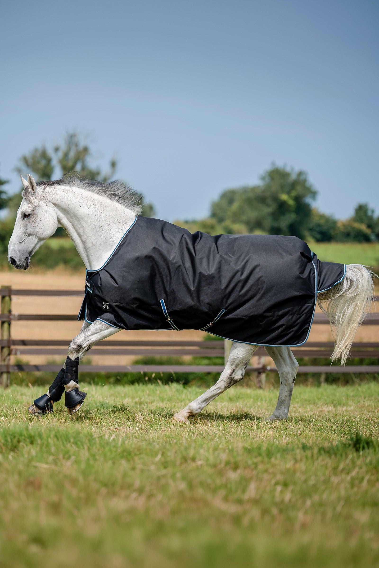 Bucas Anniversary Light SD Turnout Rug, 150g Horse Rugs