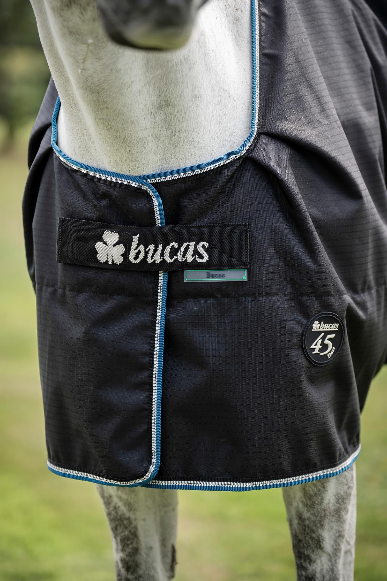 Bucas Anniversary Light SD Turnout Rug, 150g Horse Rugs