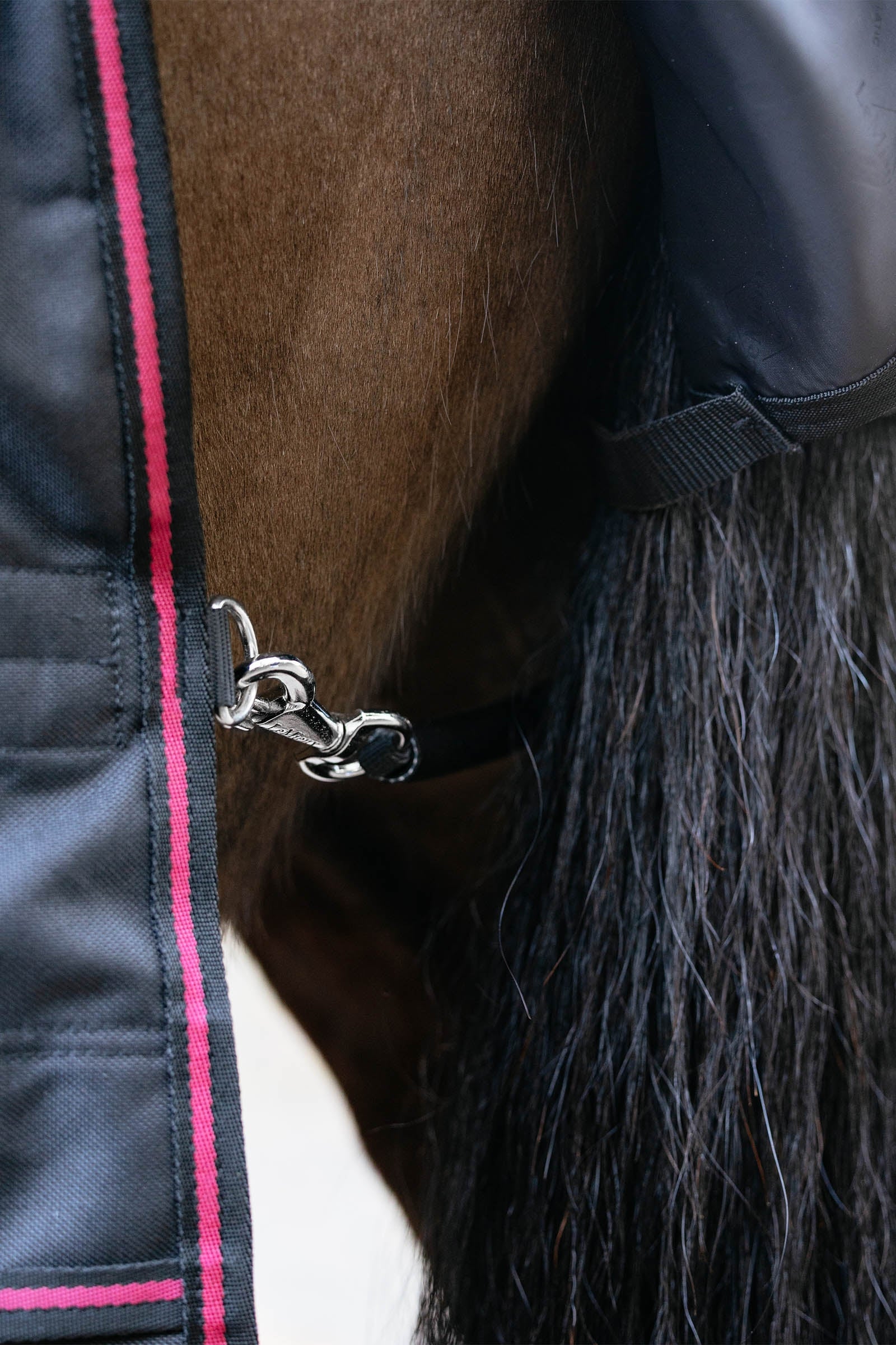 LeMieux Arika Storm-Tek Turnout Rug With Detachable Neck, 50 g Horse Rugs