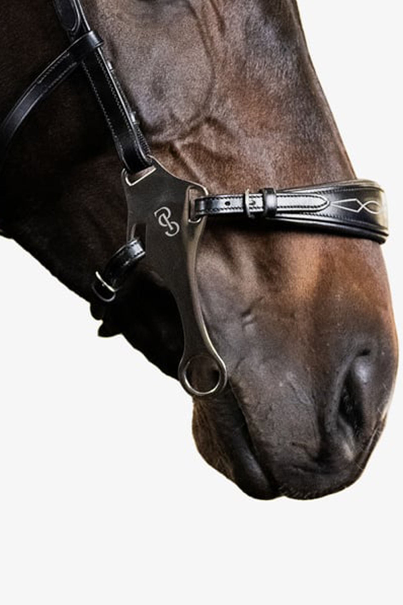 PS of Sweden Bridle Hackamore Sport Bridles & Reins