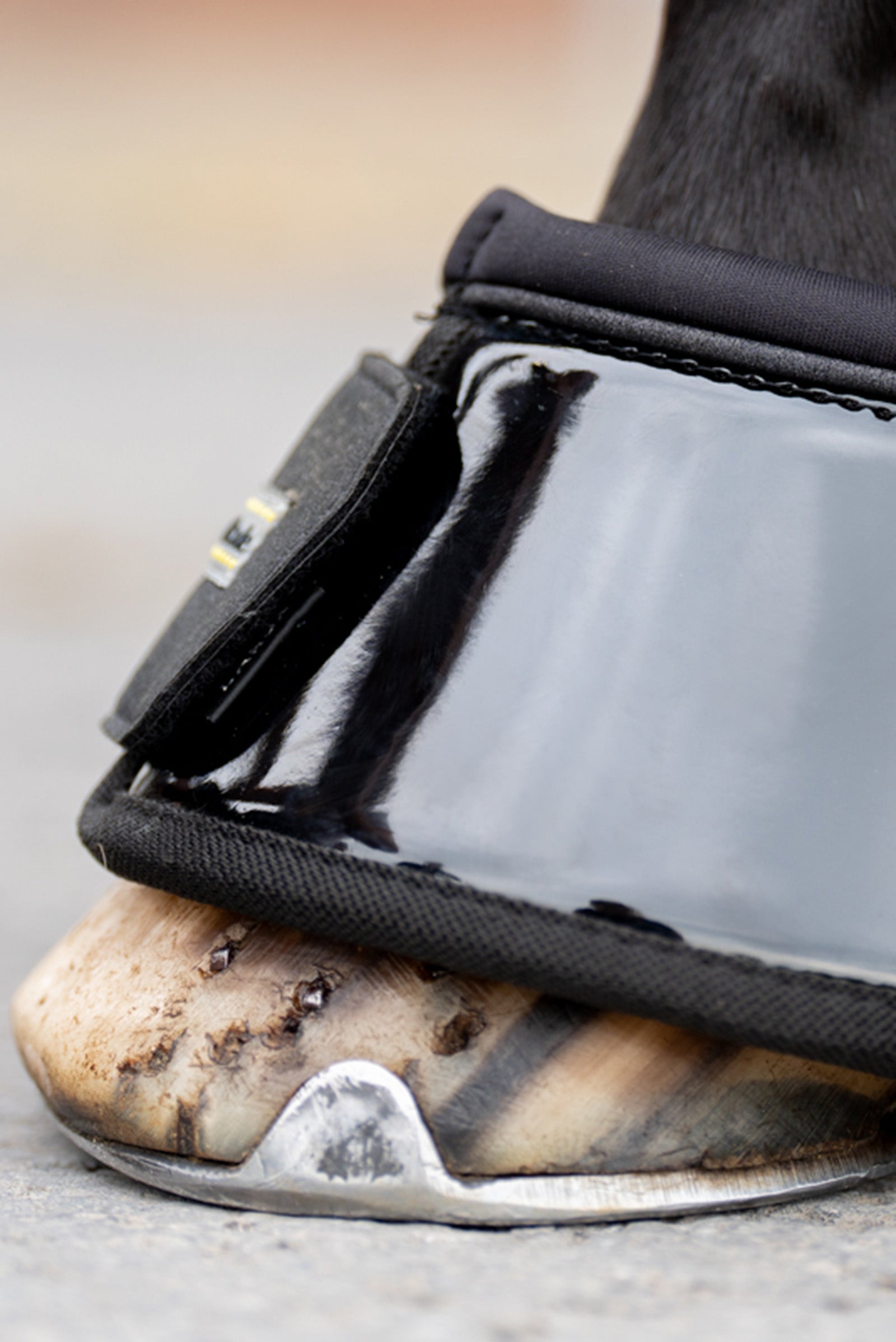 Kavalkade Star Over Reach Boots (1 Pair) Leg Protection & Hoof Protection for Horses