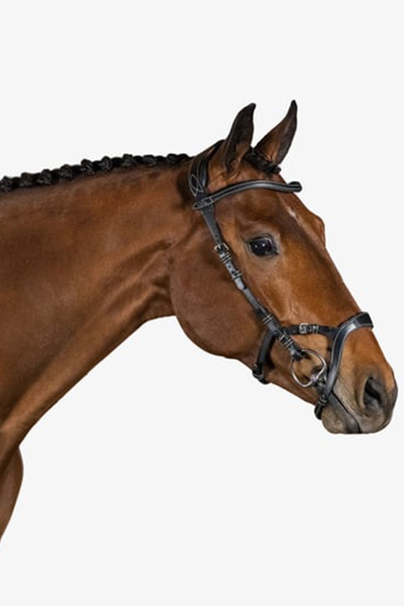 PS of Sweden bridle Nirak Bridles & Reins