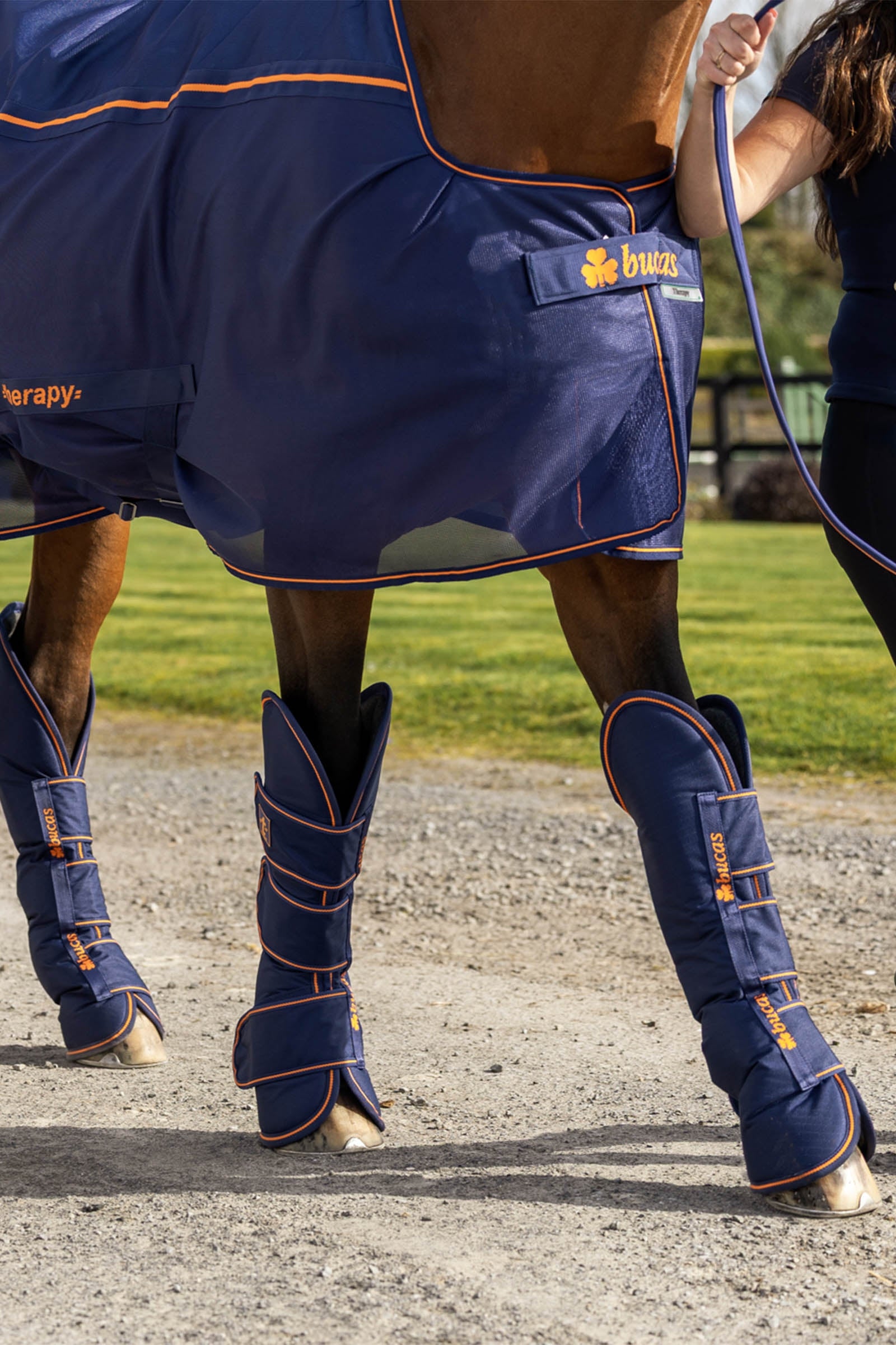 Bucas Therapy Travel Boots (Set of 4) Leg Protection & Hoof Protection for Horses