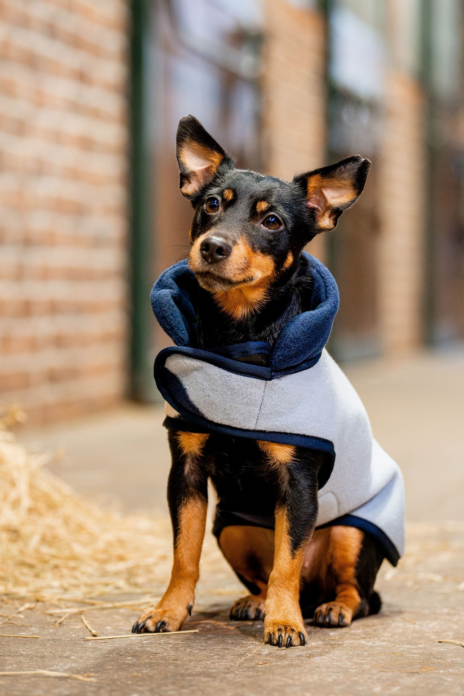Horseware Signature Dog Fleece Dog Accesories
