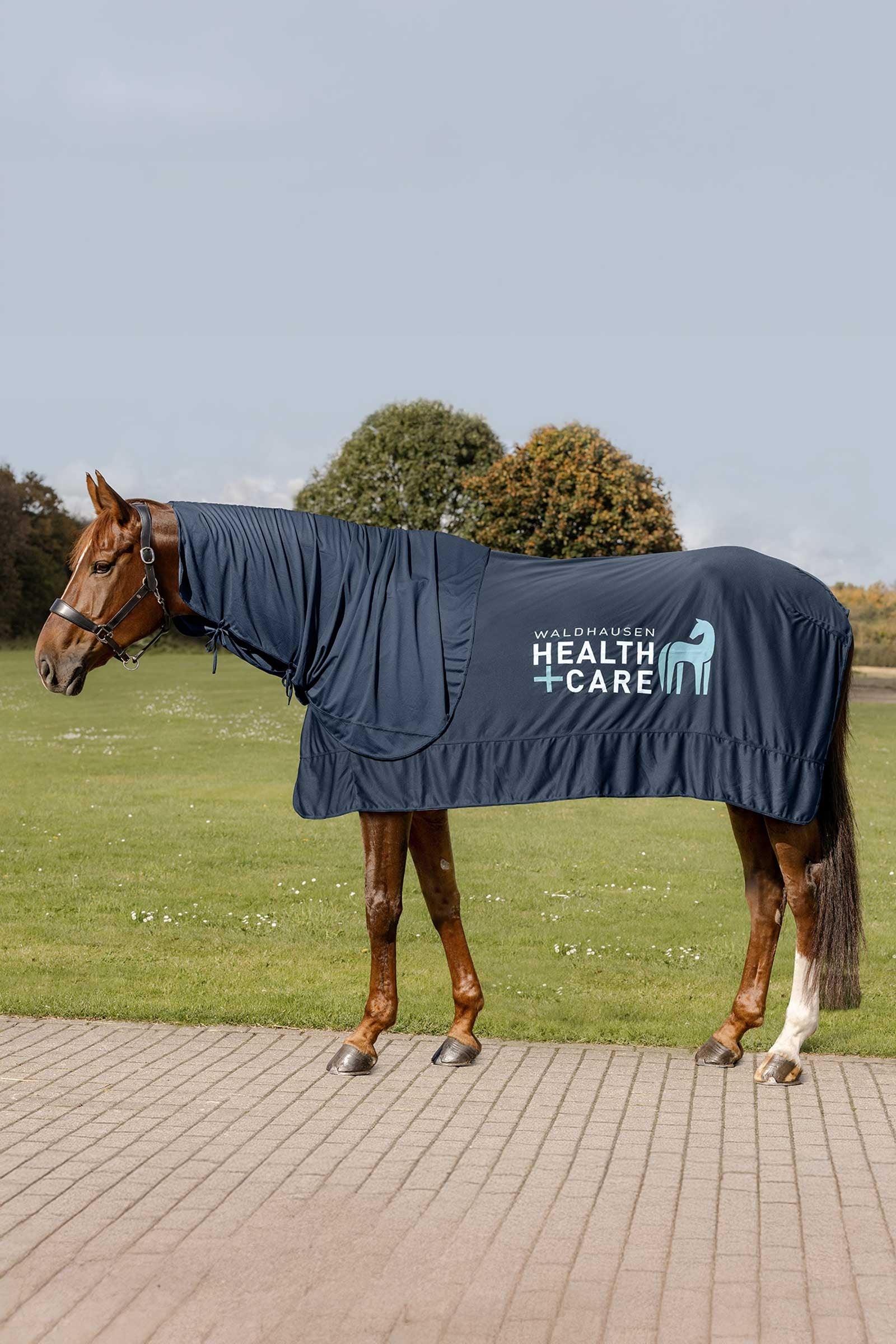 Waldhausen Health + Care Ice Layer Neck Part Horse Rugs